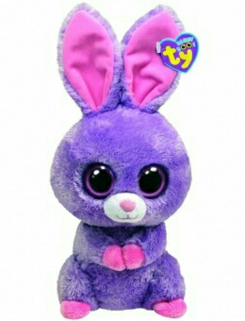 Colosso the elephant