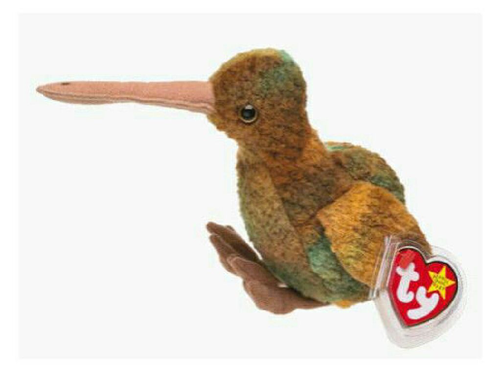 Igloo the Polar Bear