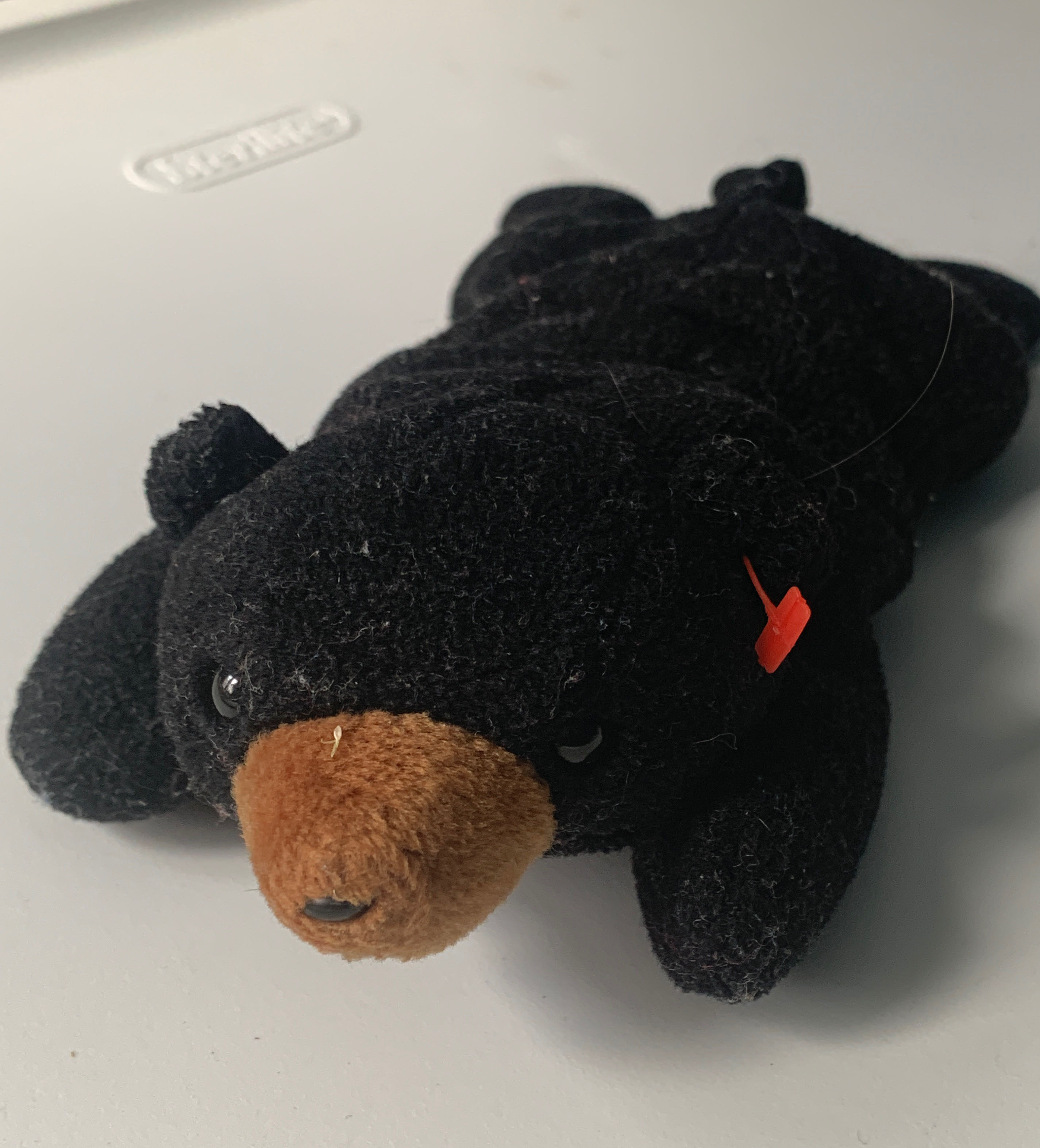Blackie the Bear 🐻 #5 L  plush collectible - Main Image 2
