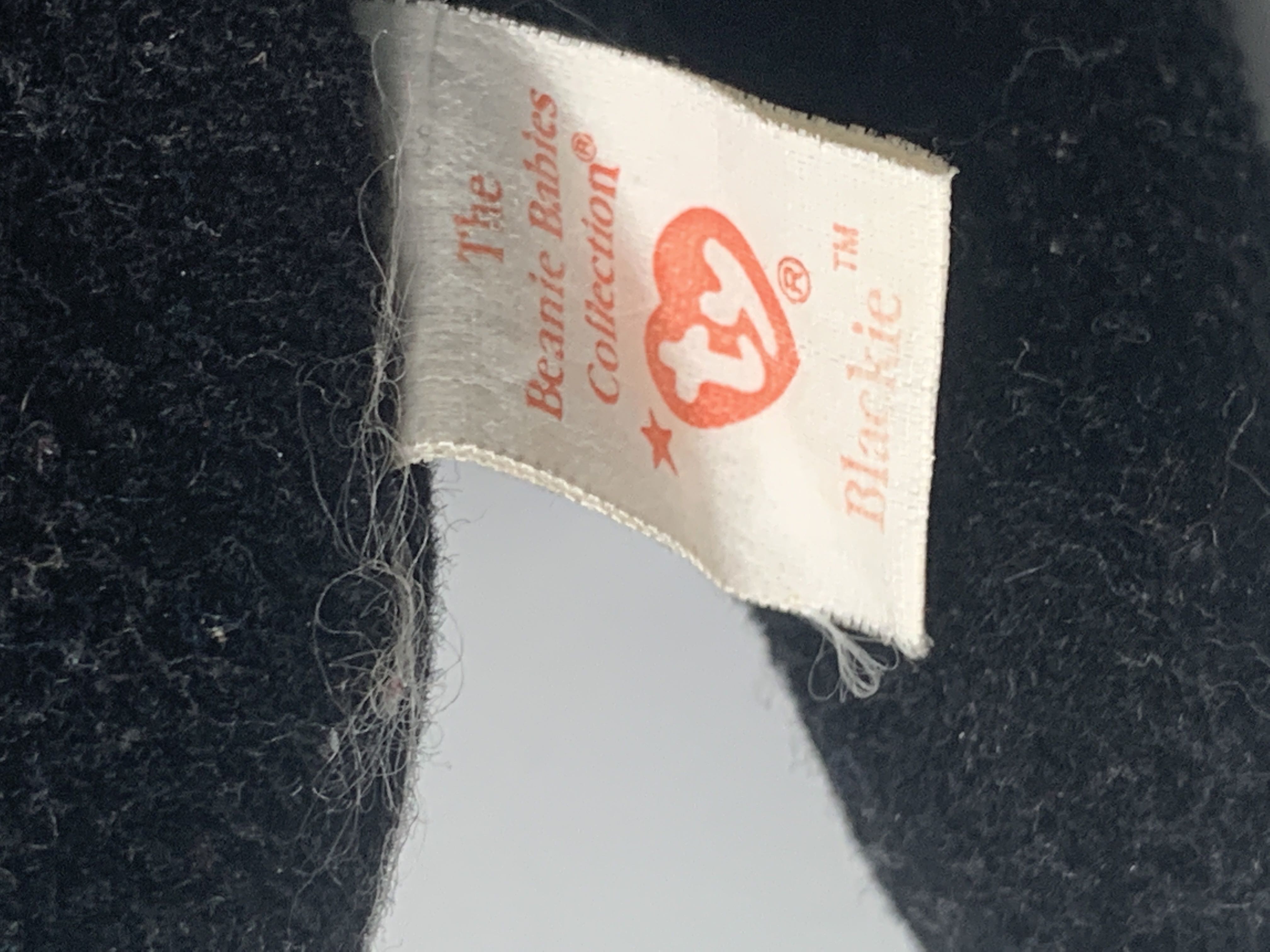 Blackie the Bear 🐻 #5 L  plush collectible - Main Image 3