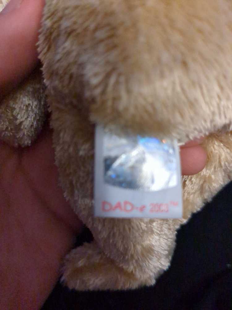 Dad-e 2003 The Bear  plush collectible - Main Image 2