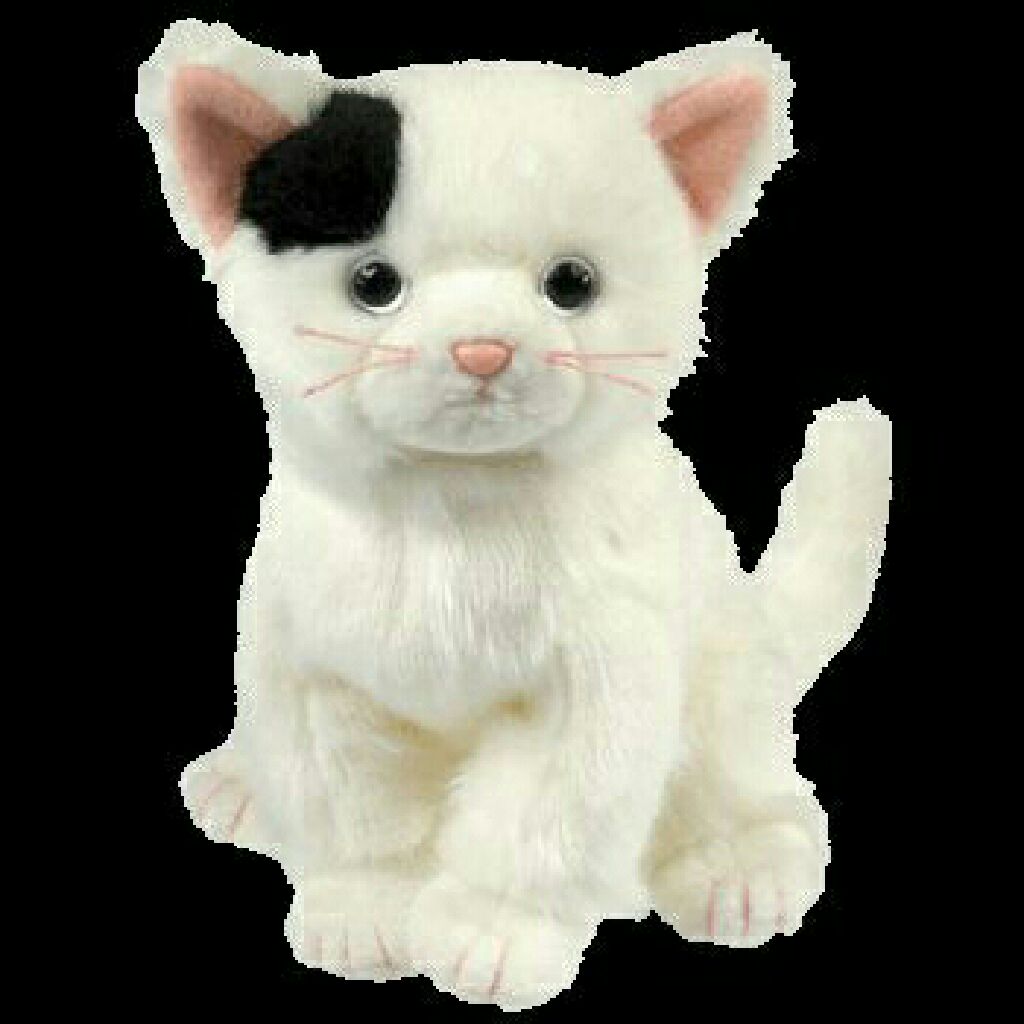 Champion The FIFA Bear (France)