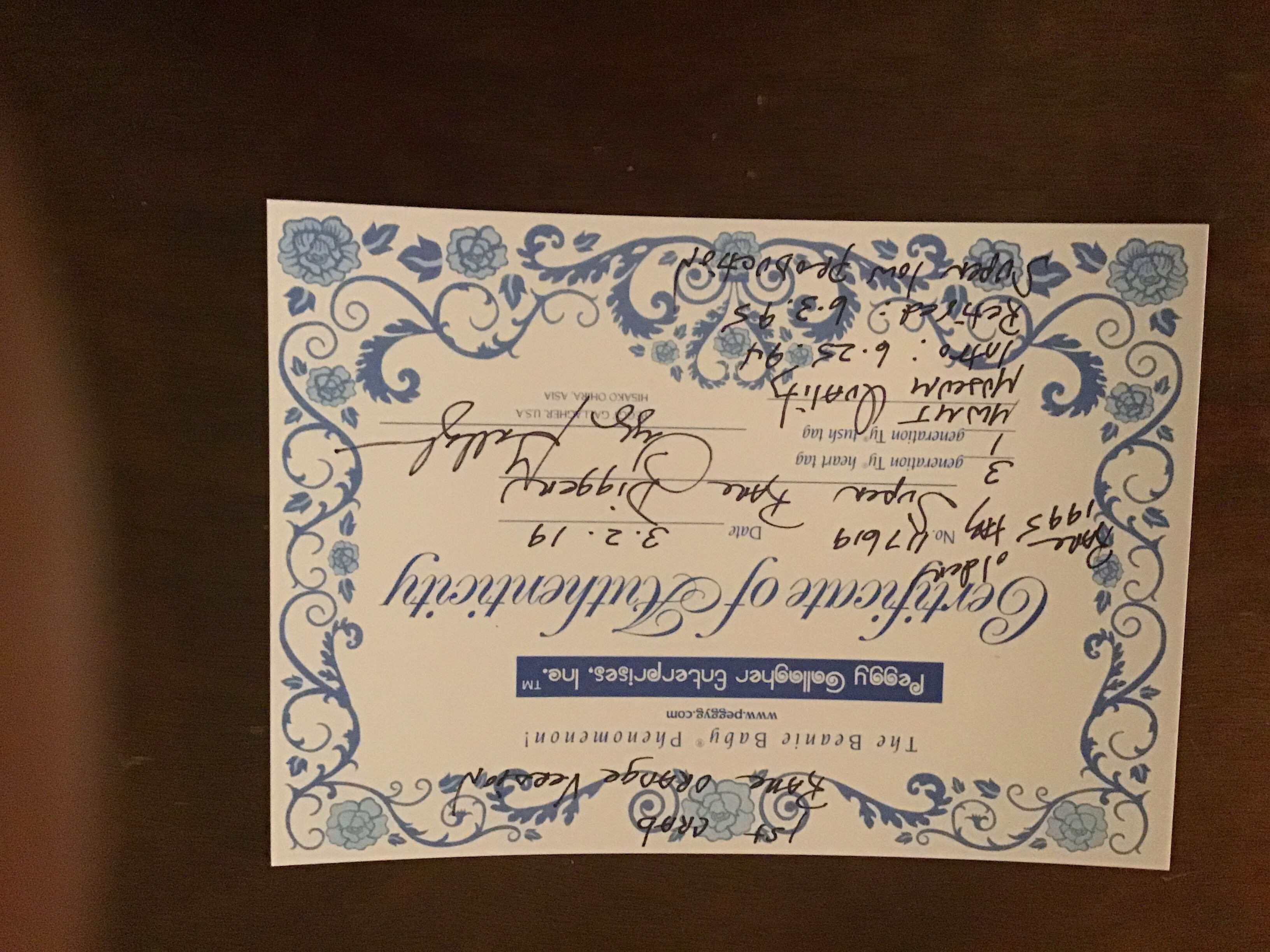 Digger The Orange Crab (Beanie Buddy)  plush collectible - Main Image 3