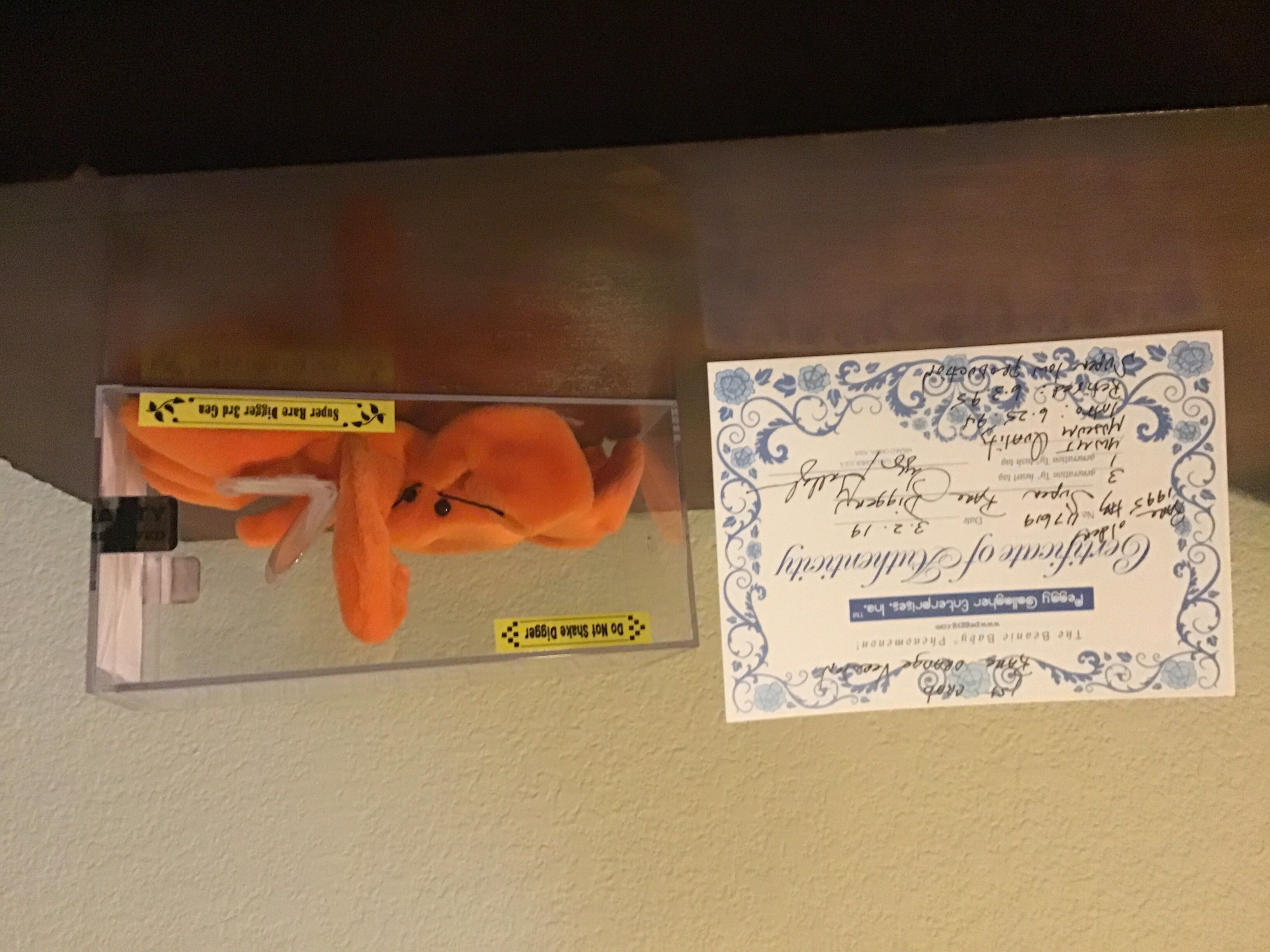 Digger The Orange Crab (Beanie Buddy)  plush collectible - Main Image 4