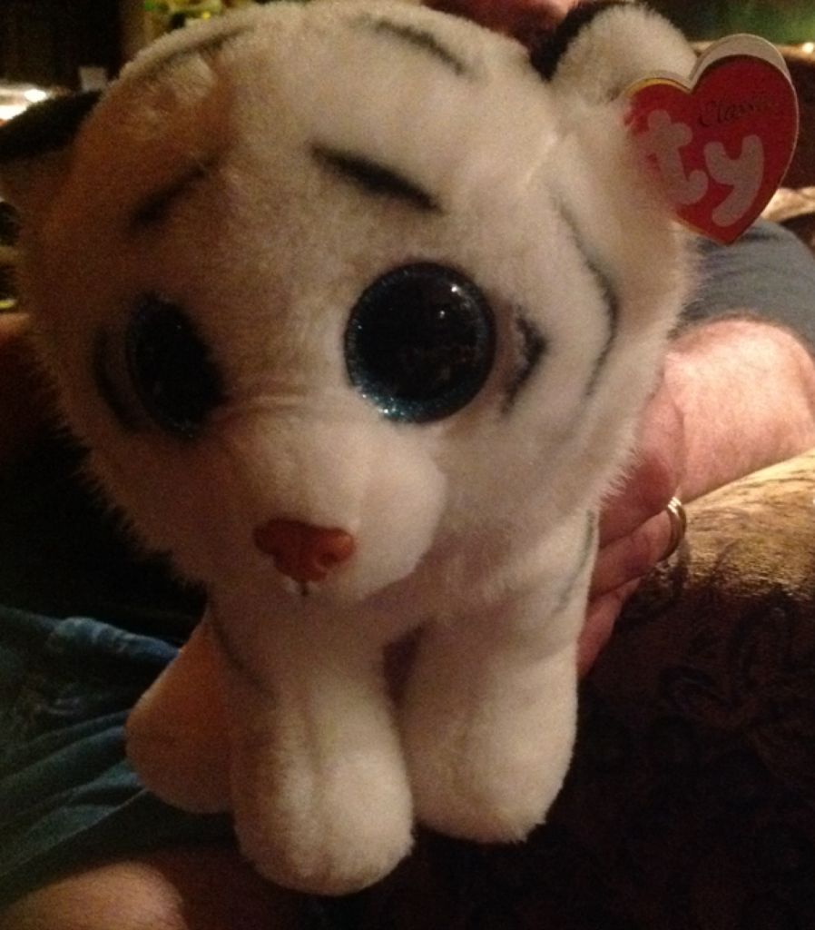 Champion The Fifa Bear (belgium)