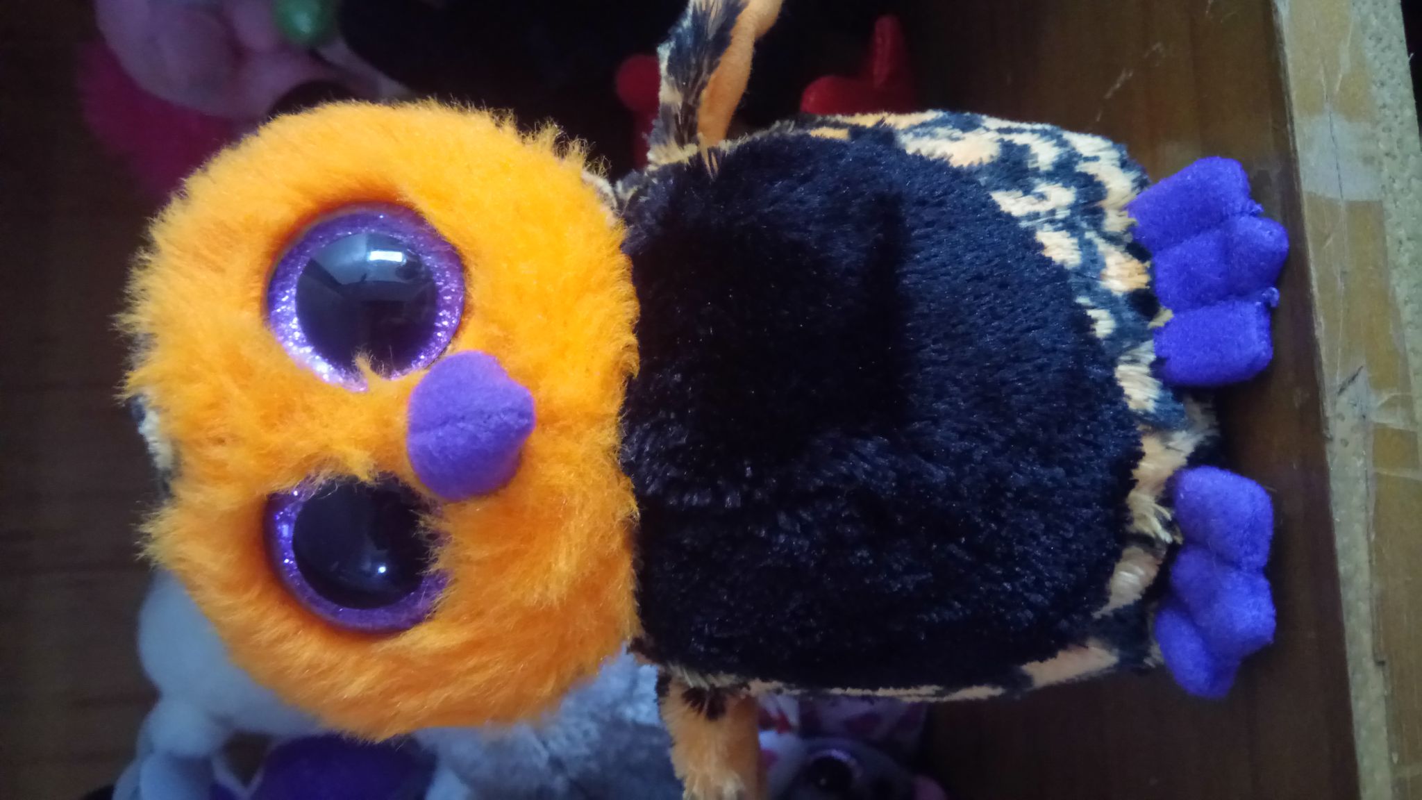 Zara The Zebra Bear 1