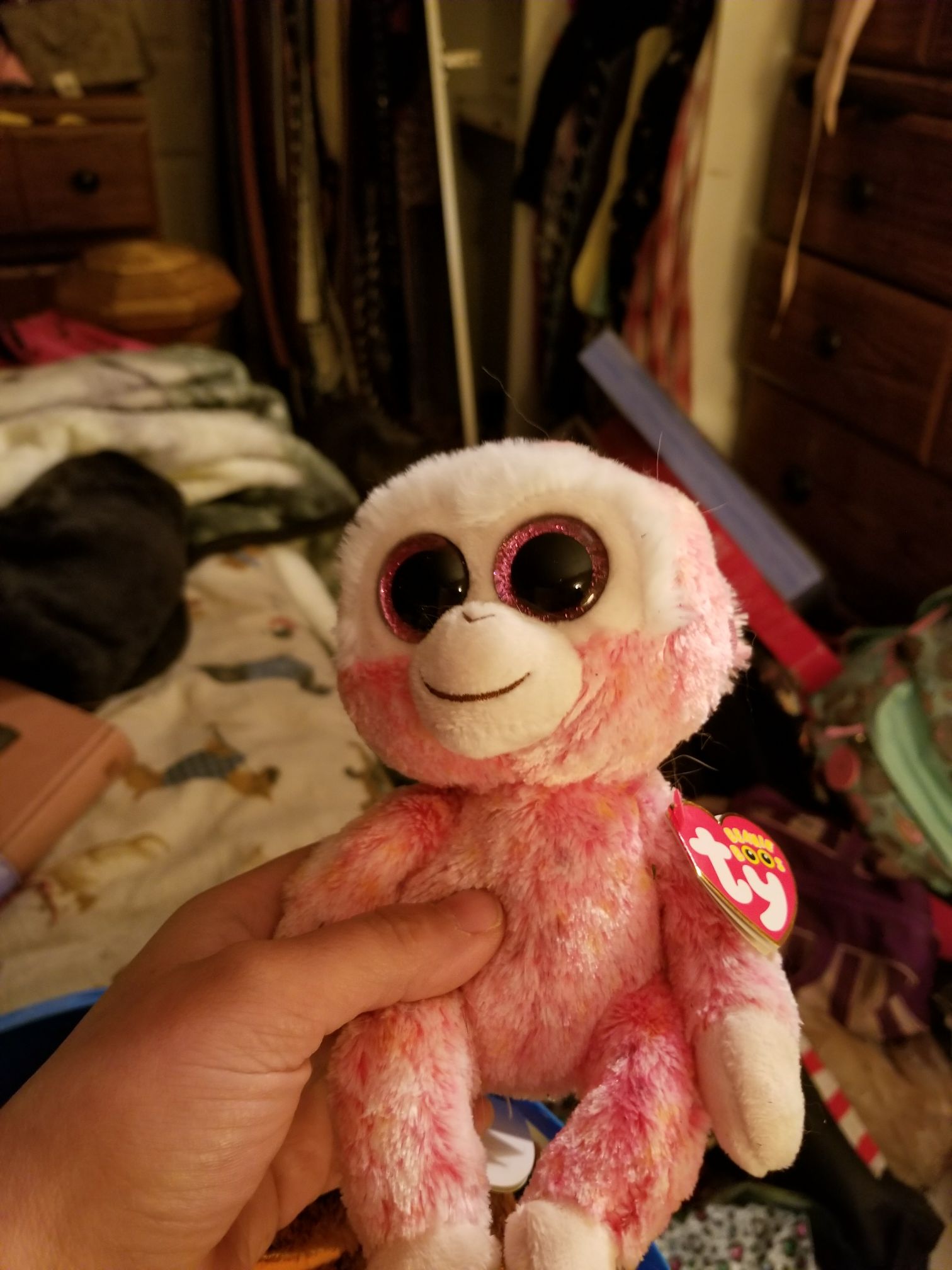 Champion - Brazil (Buddy)