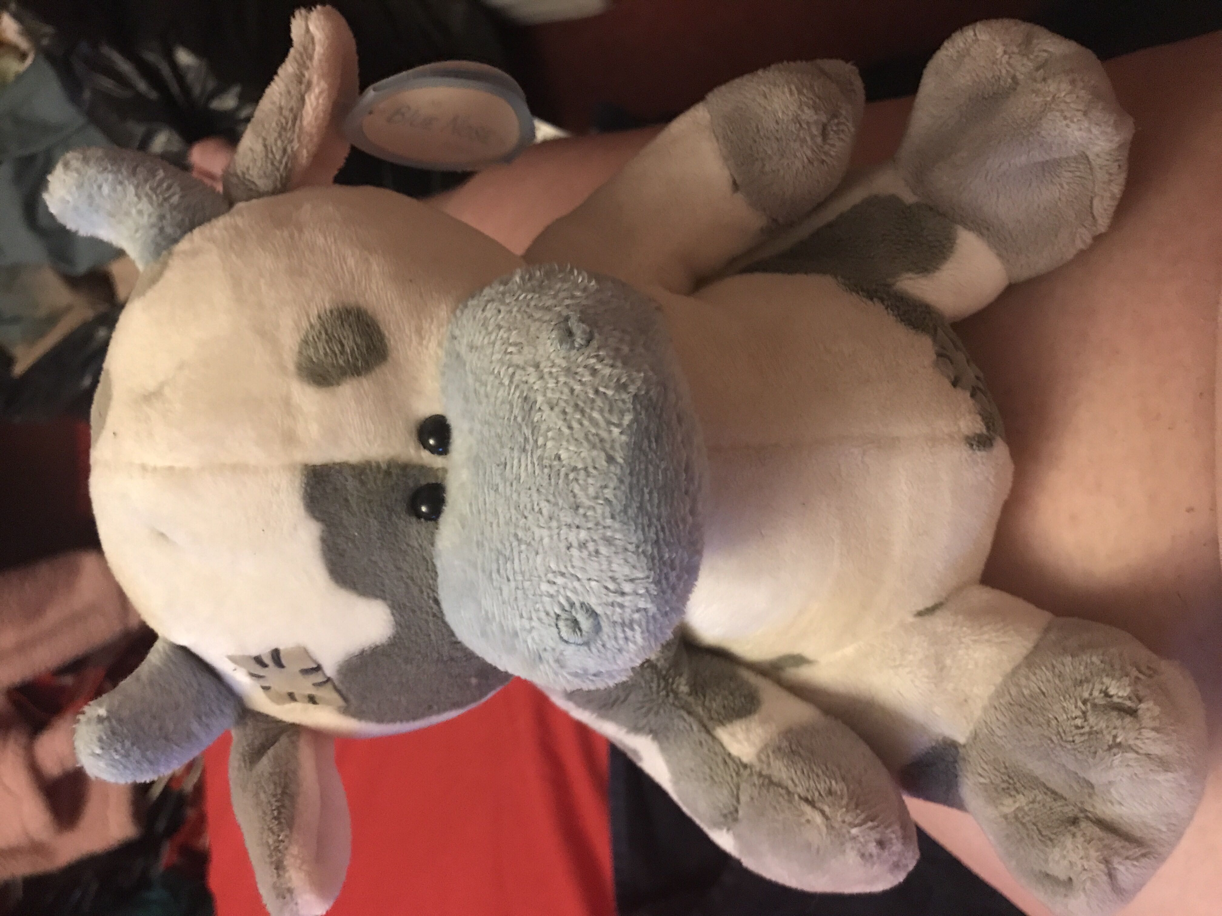 Dizzy The Dog (Jingle)