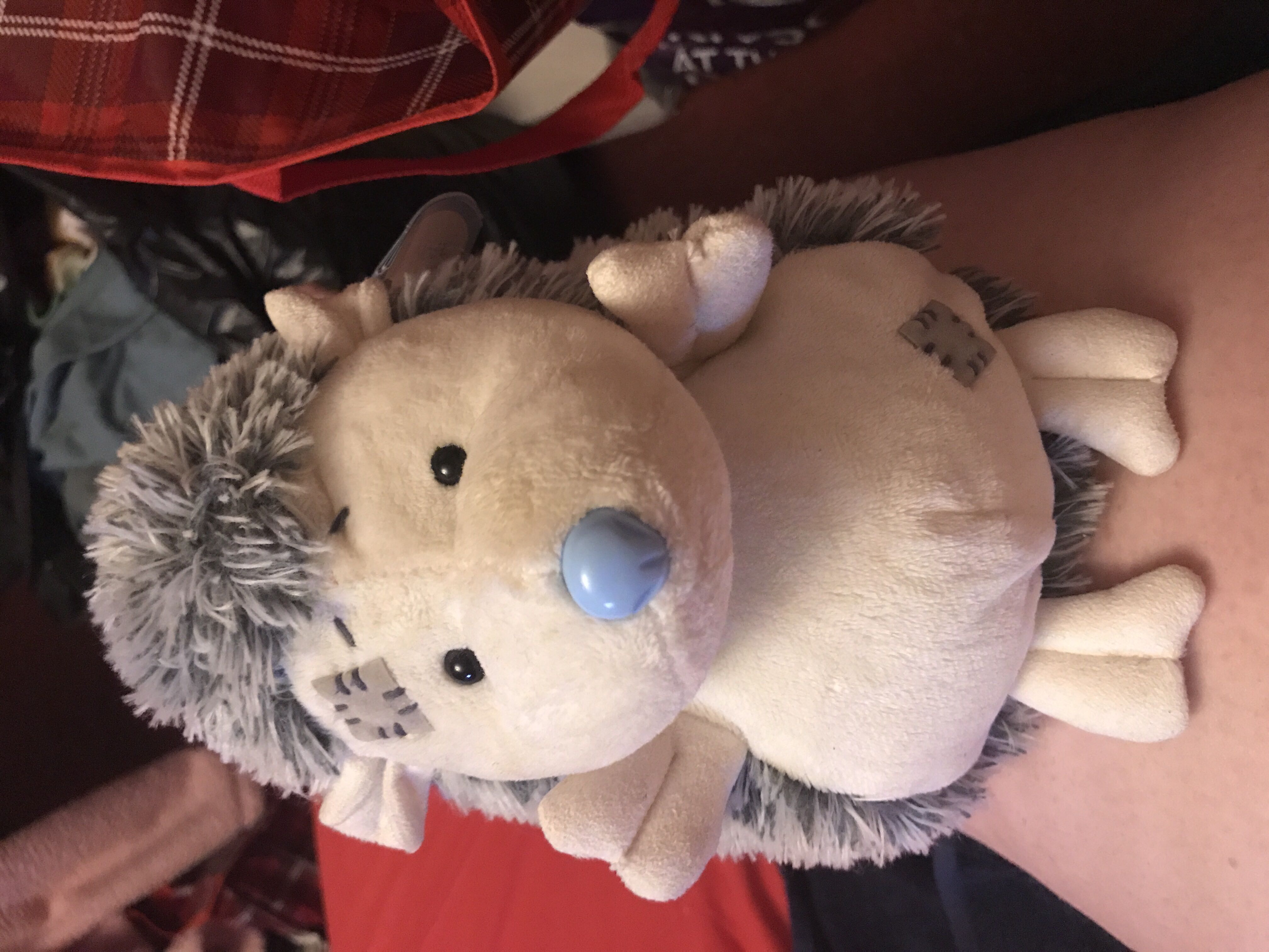 Derby With White Face Corse Mane