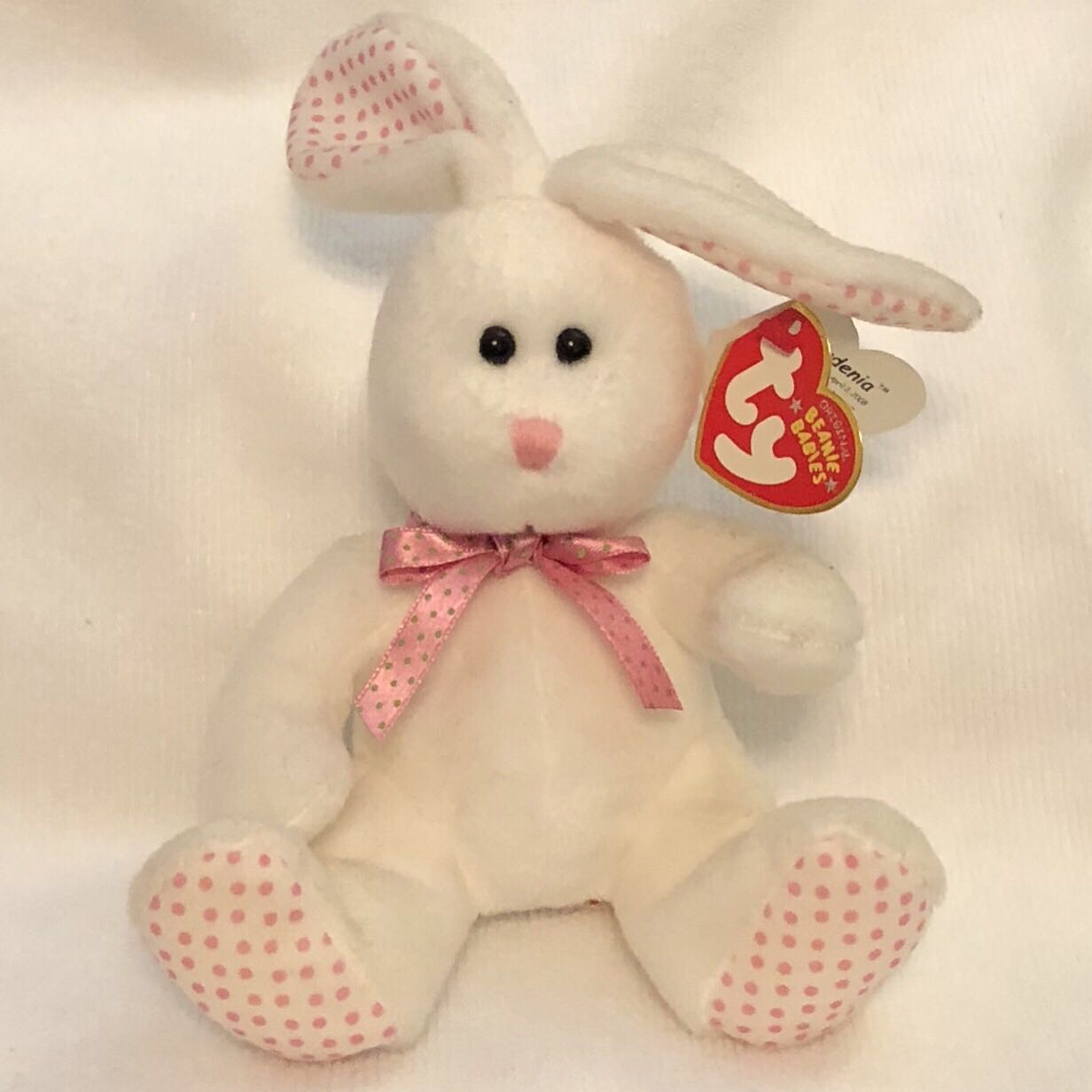 Gardenia The Bunny Rabbit - Easter  (United States) plush collectible [Barcode 008421407668] - Main Image 2