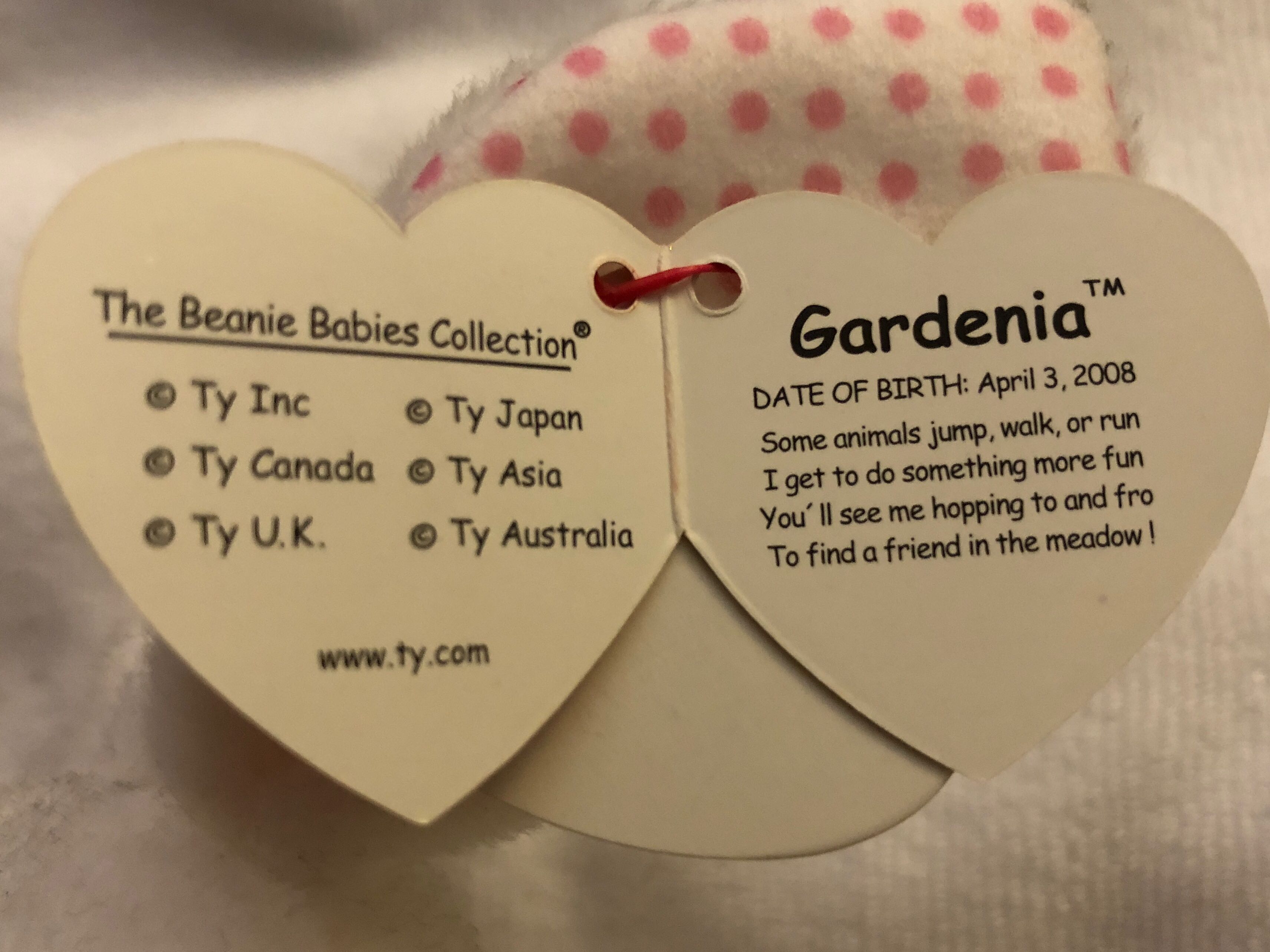 Gardenia The Bunny Rabbit - Easter  (United States) plush collectible [Barcode 008421407668] - Main Image 3