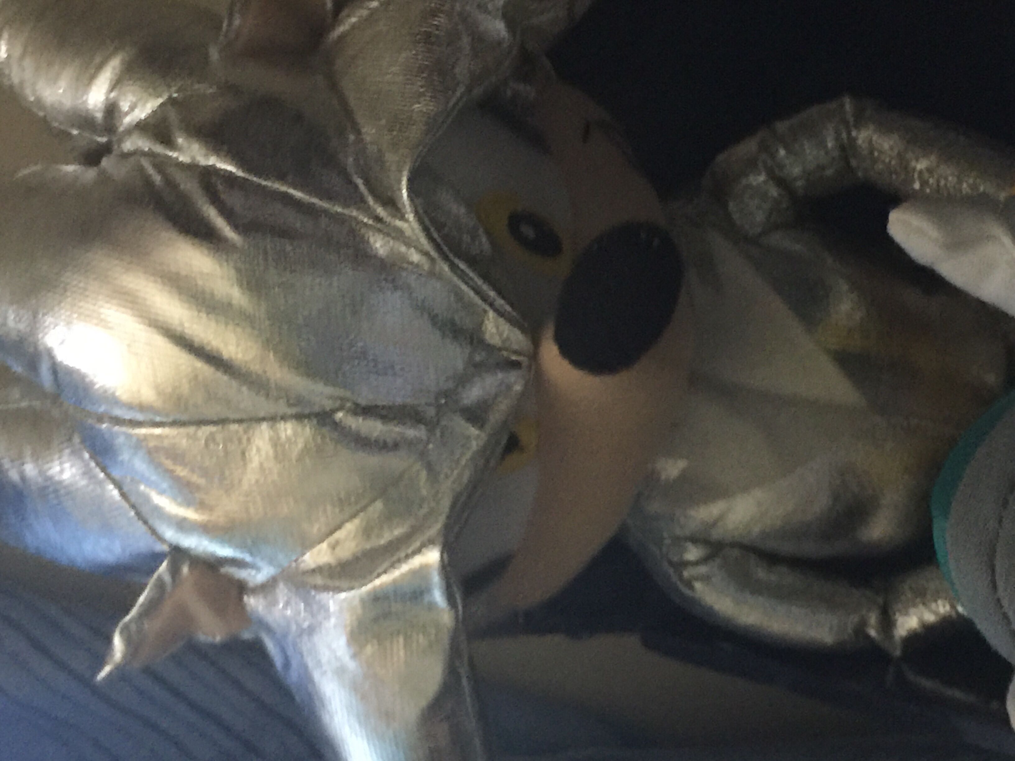 Silver The Hedgehog   plush collectible - Main Image 2