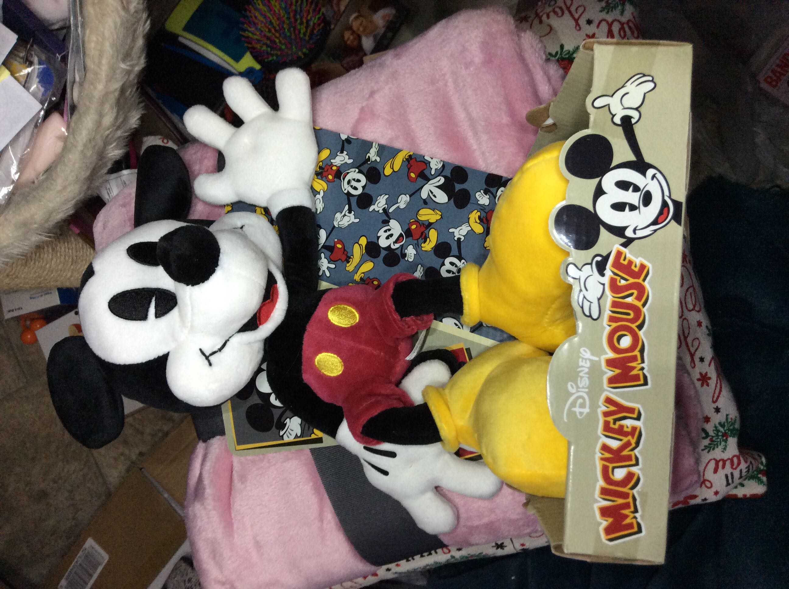 Champion - Costa Rica (BUDDY)