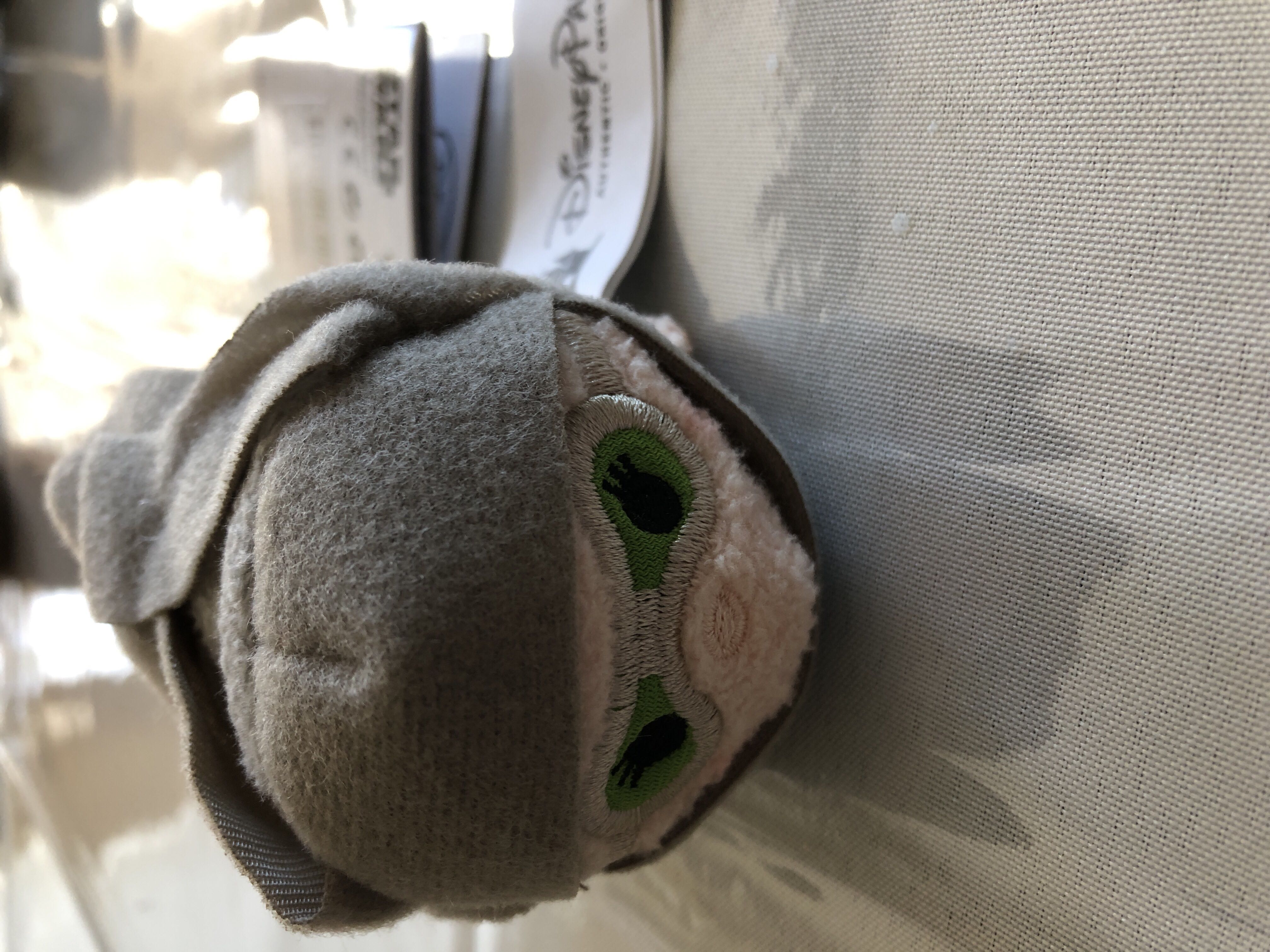 Astra The Bear - BBOM