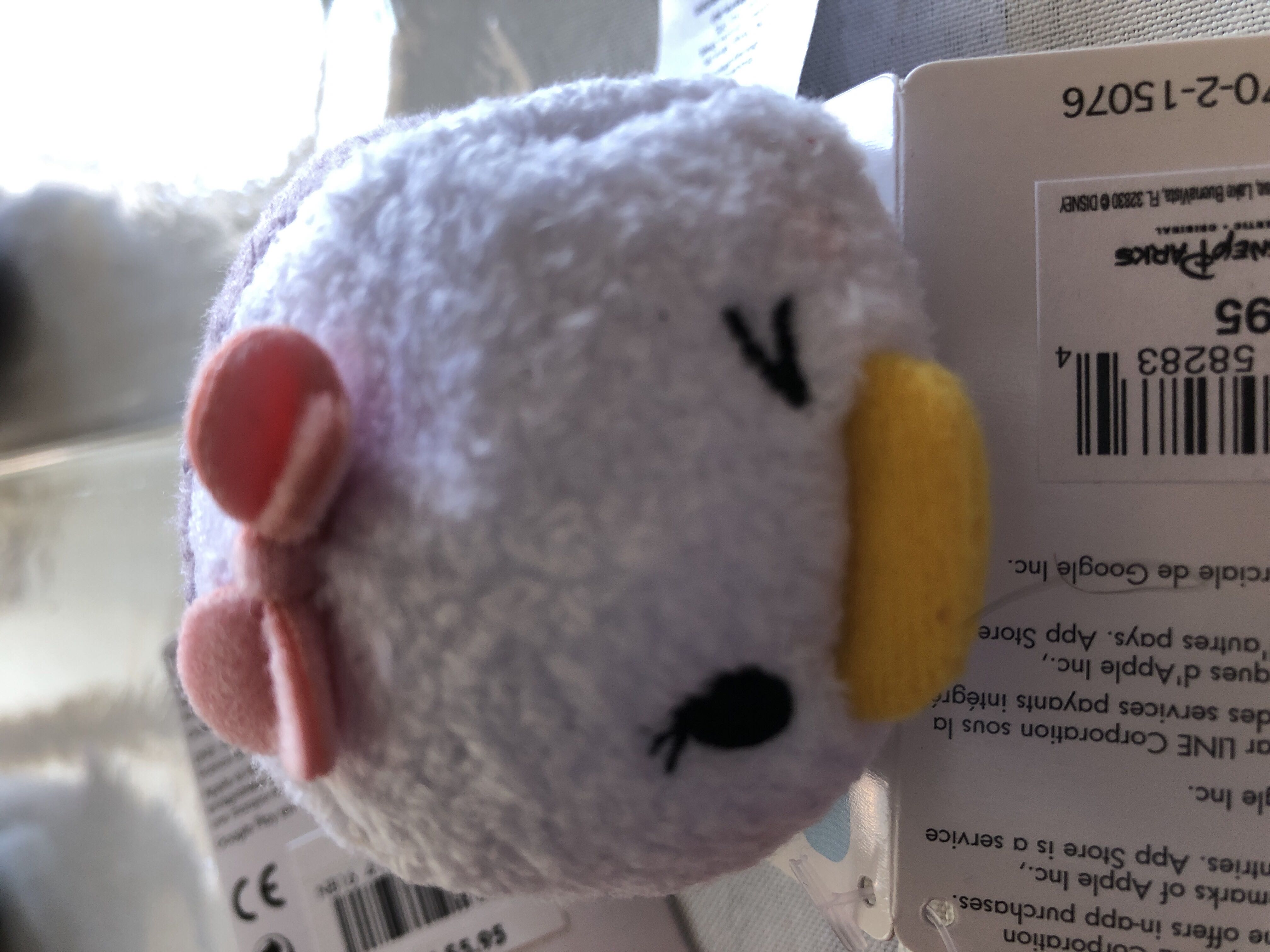 Violet & (and) Petals