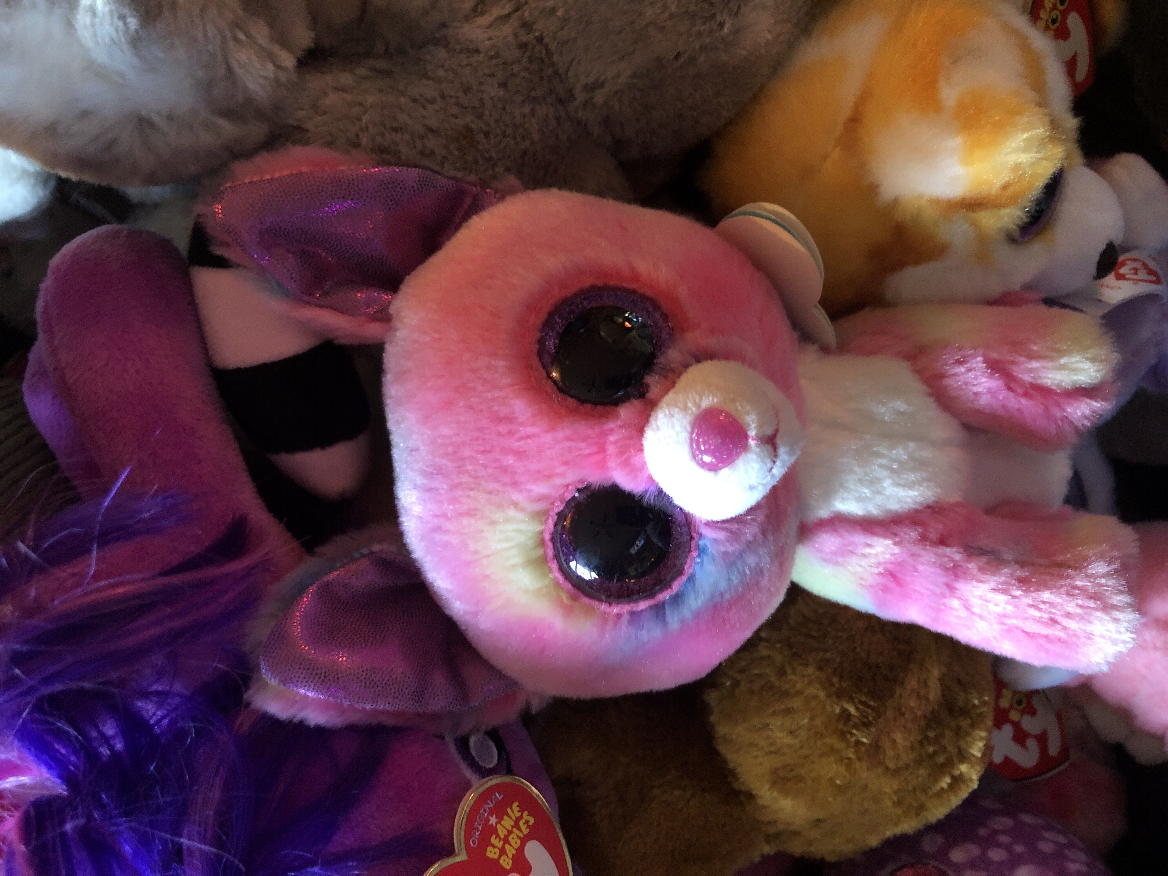 Shooting Star The Bear