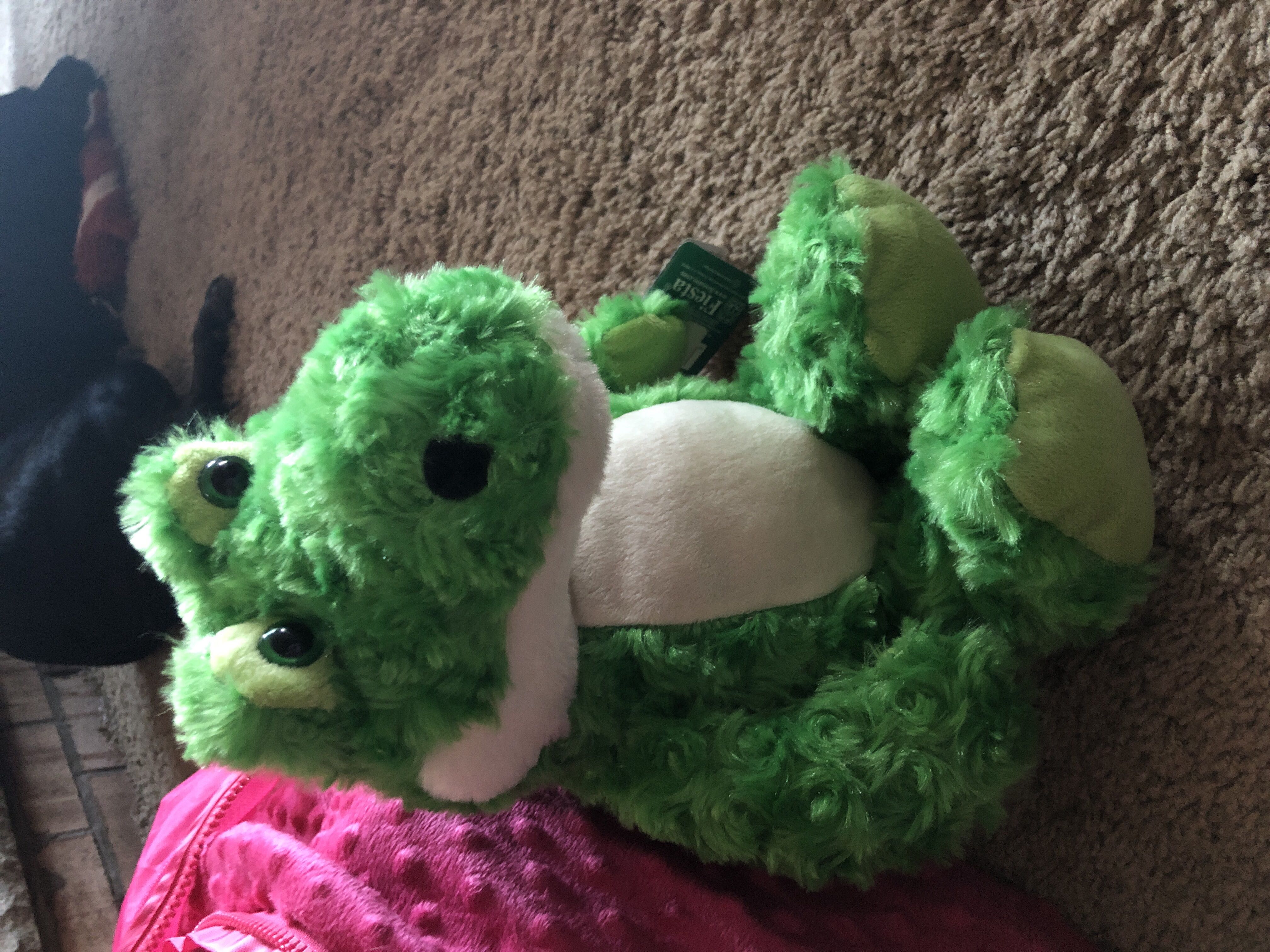 Daydream (6/10/94) - Cal Expo Amphitheater