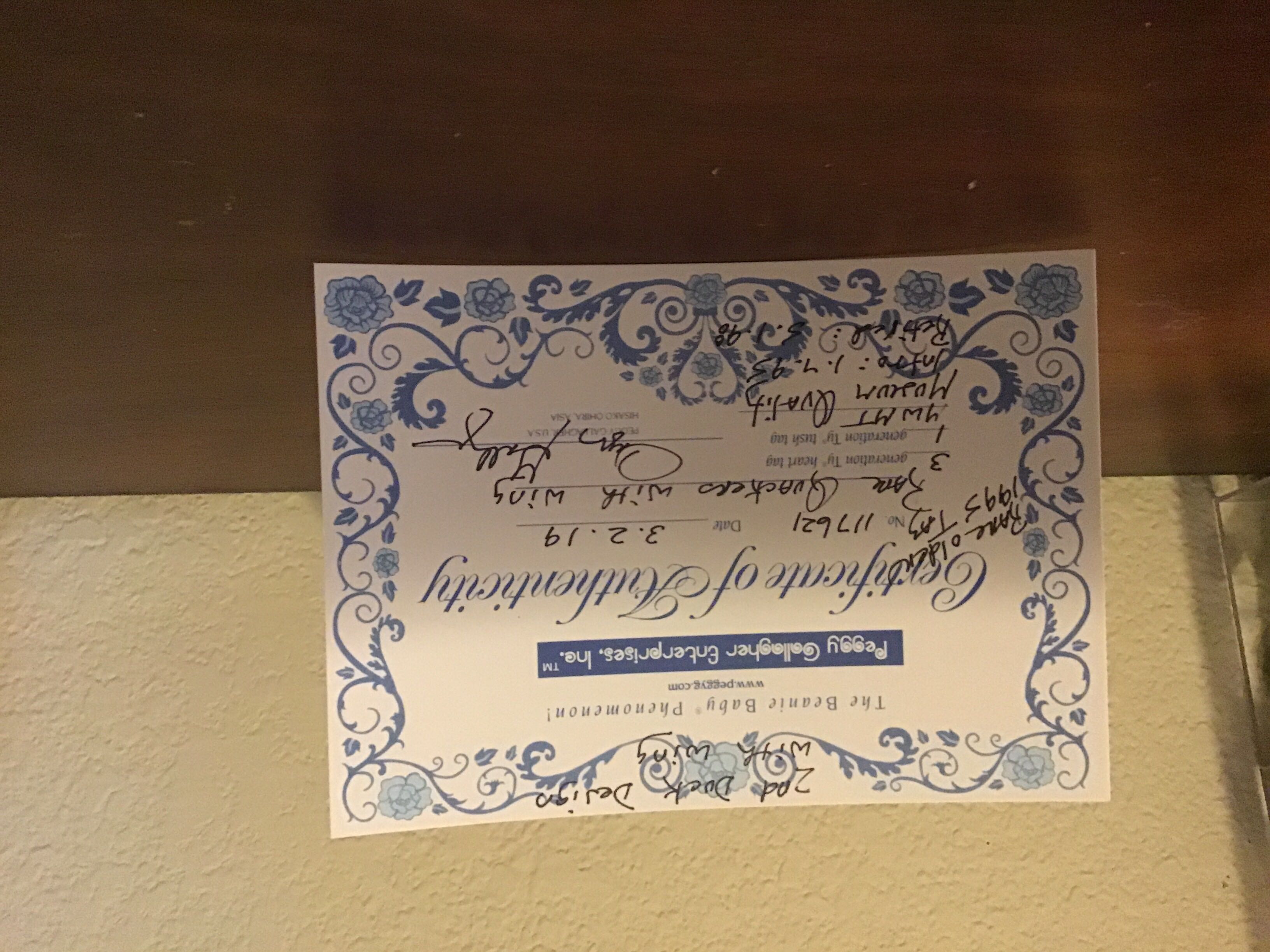 Quakers 3rd Gen Authenticated   plush collectible - Main Image 3