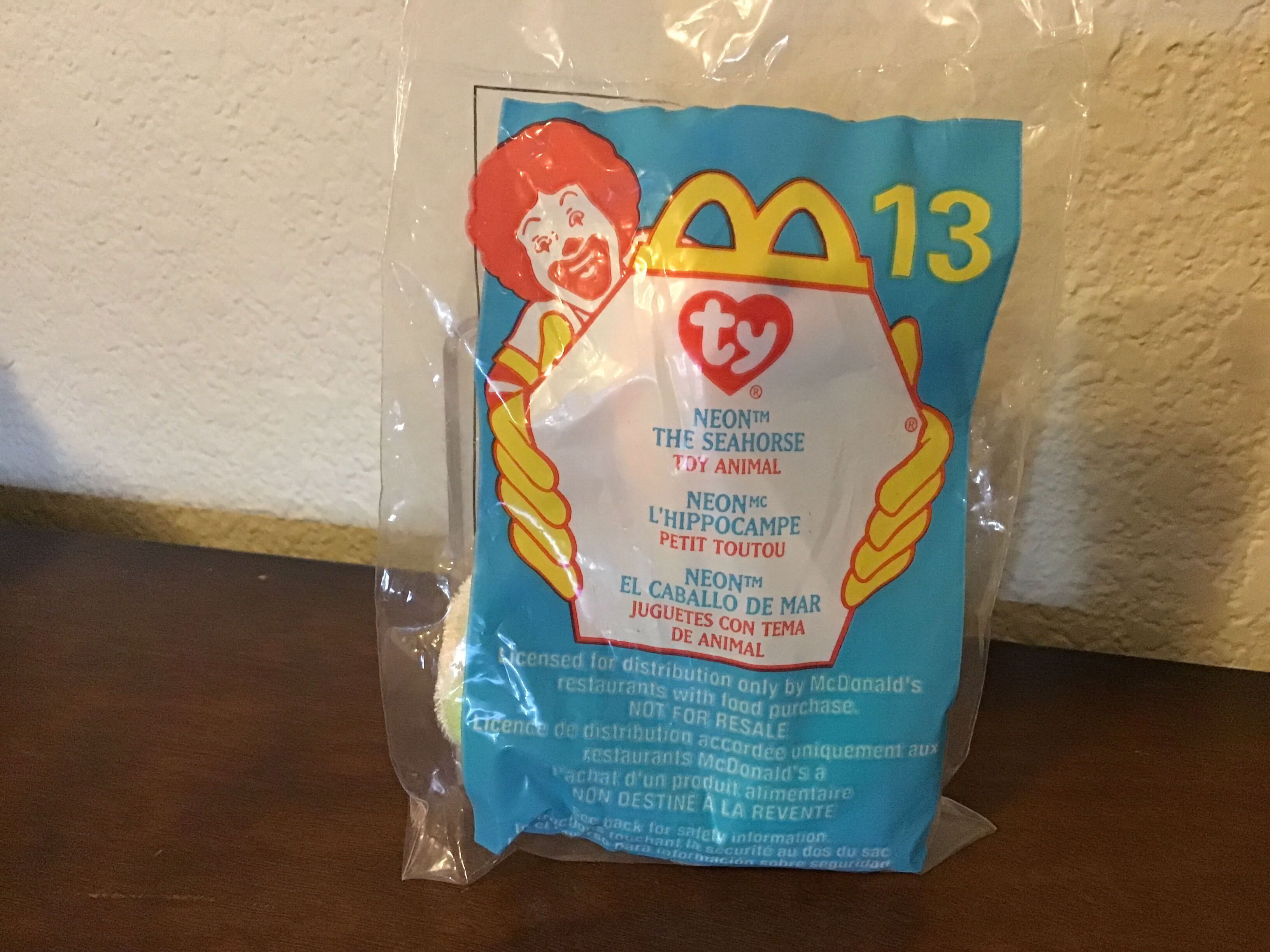 Teddy OF Magenta German/Korean 2nd Gen