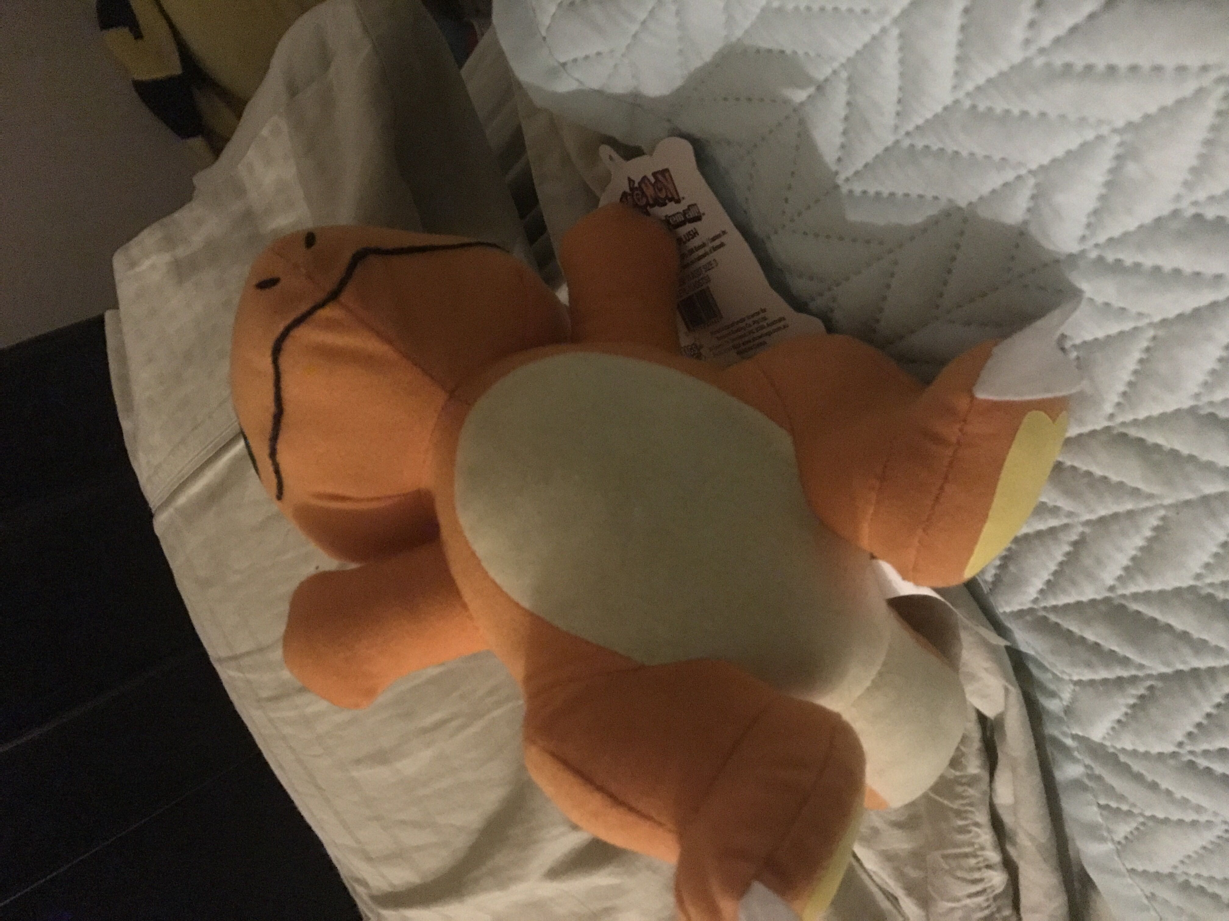 Giant Pumpkin Meowchi