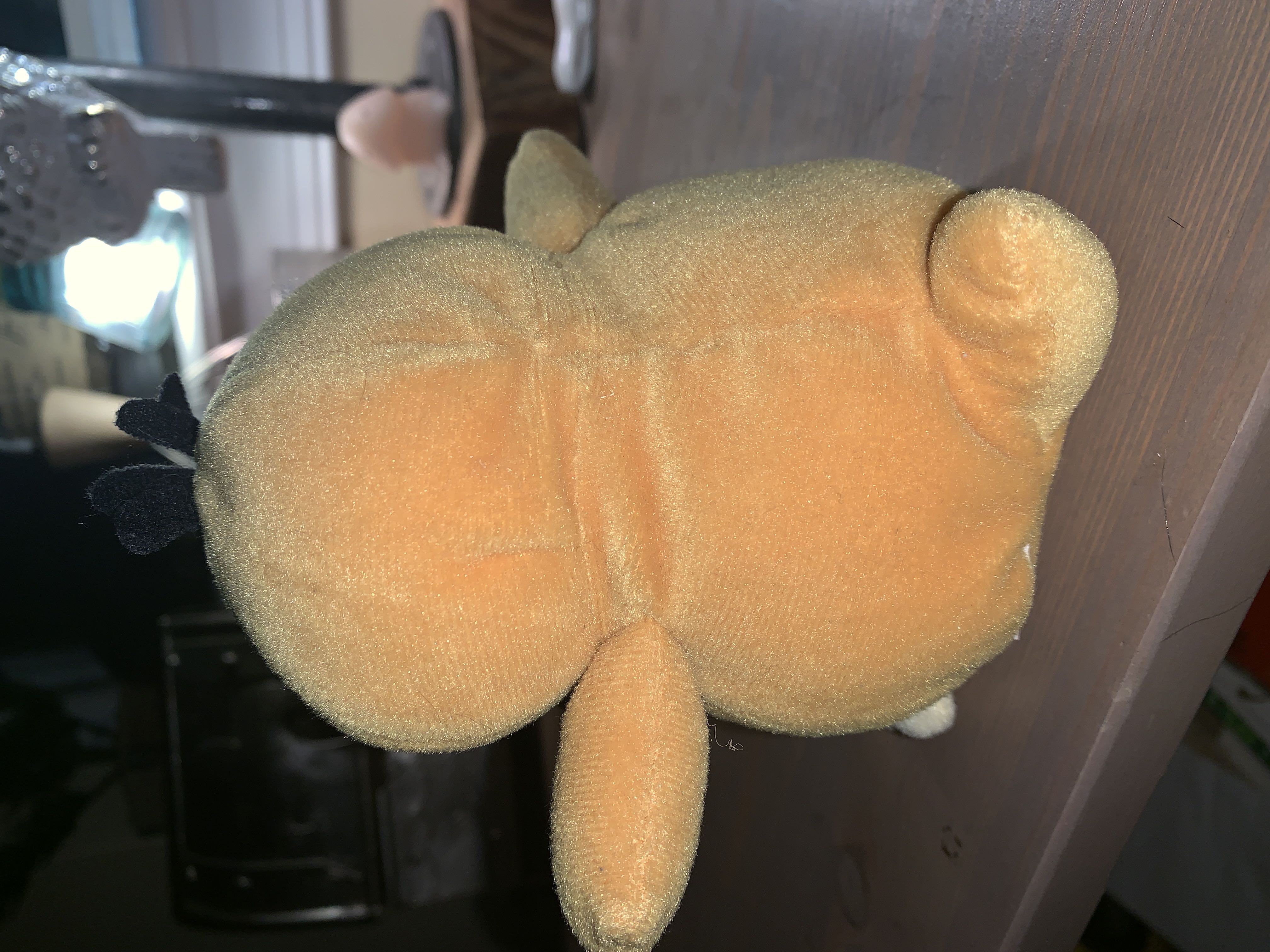 Psyduck Beanie Plushies Doll  plush collectible - Main Image 3