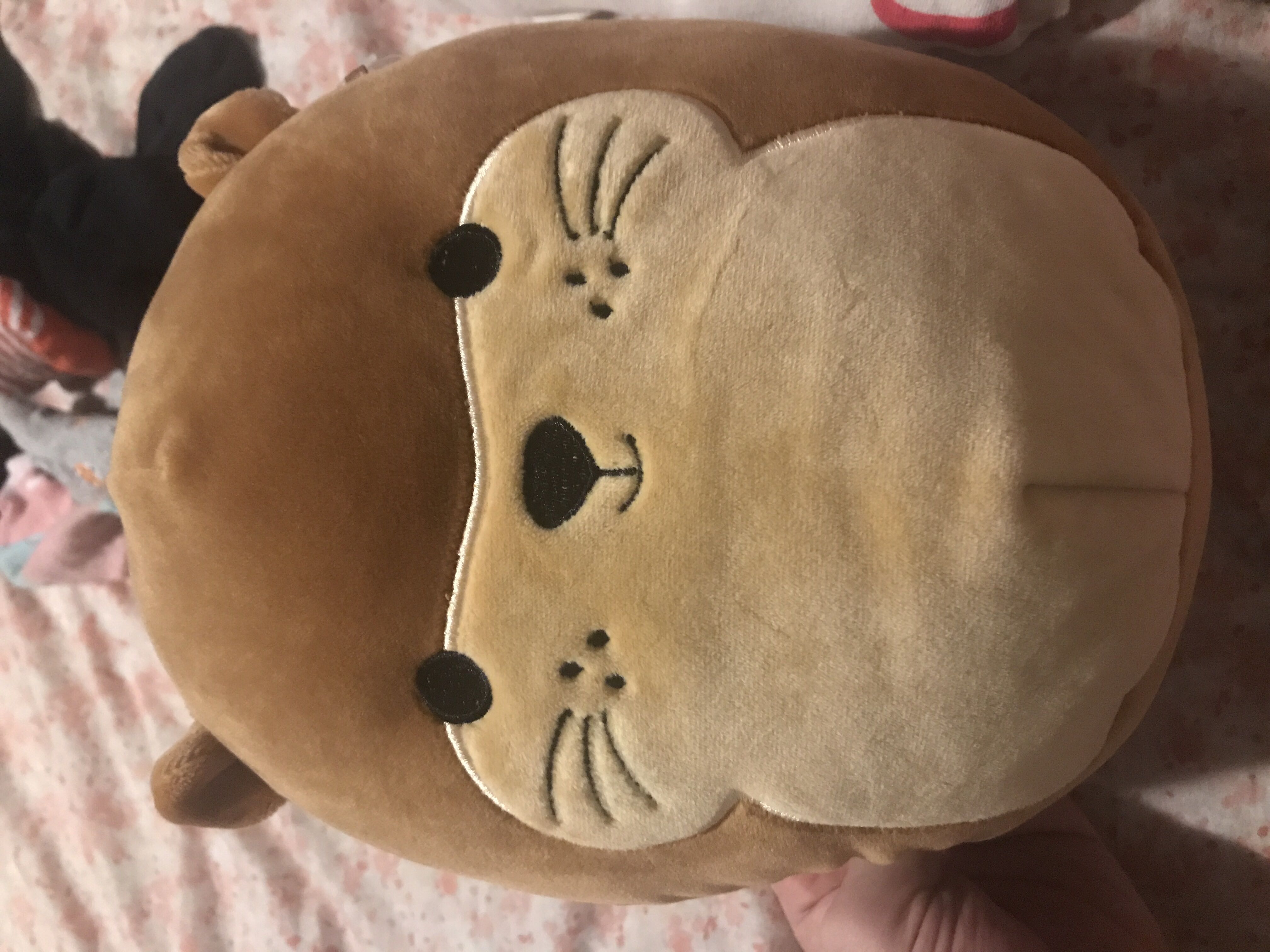 Schnitzel The Schnauzer (Buddy)