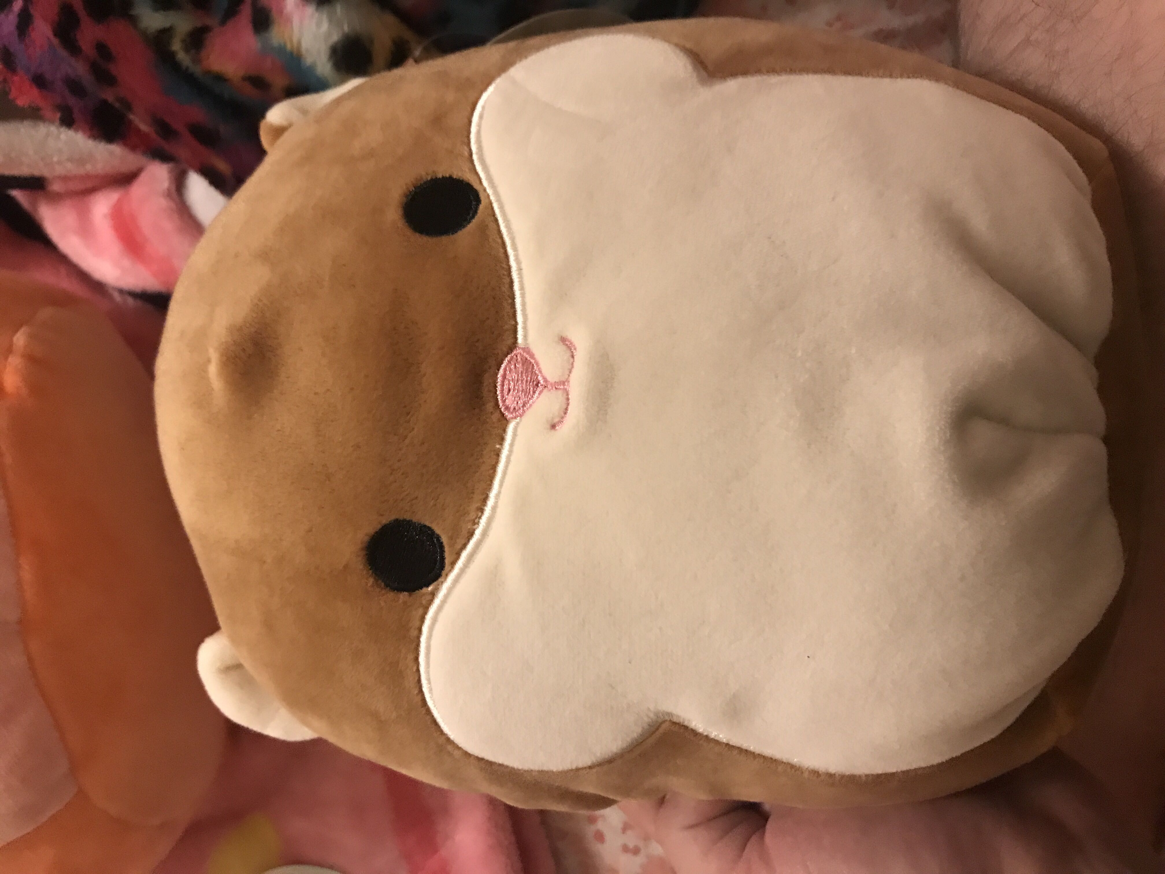 Dizzy the dalmation (V3)