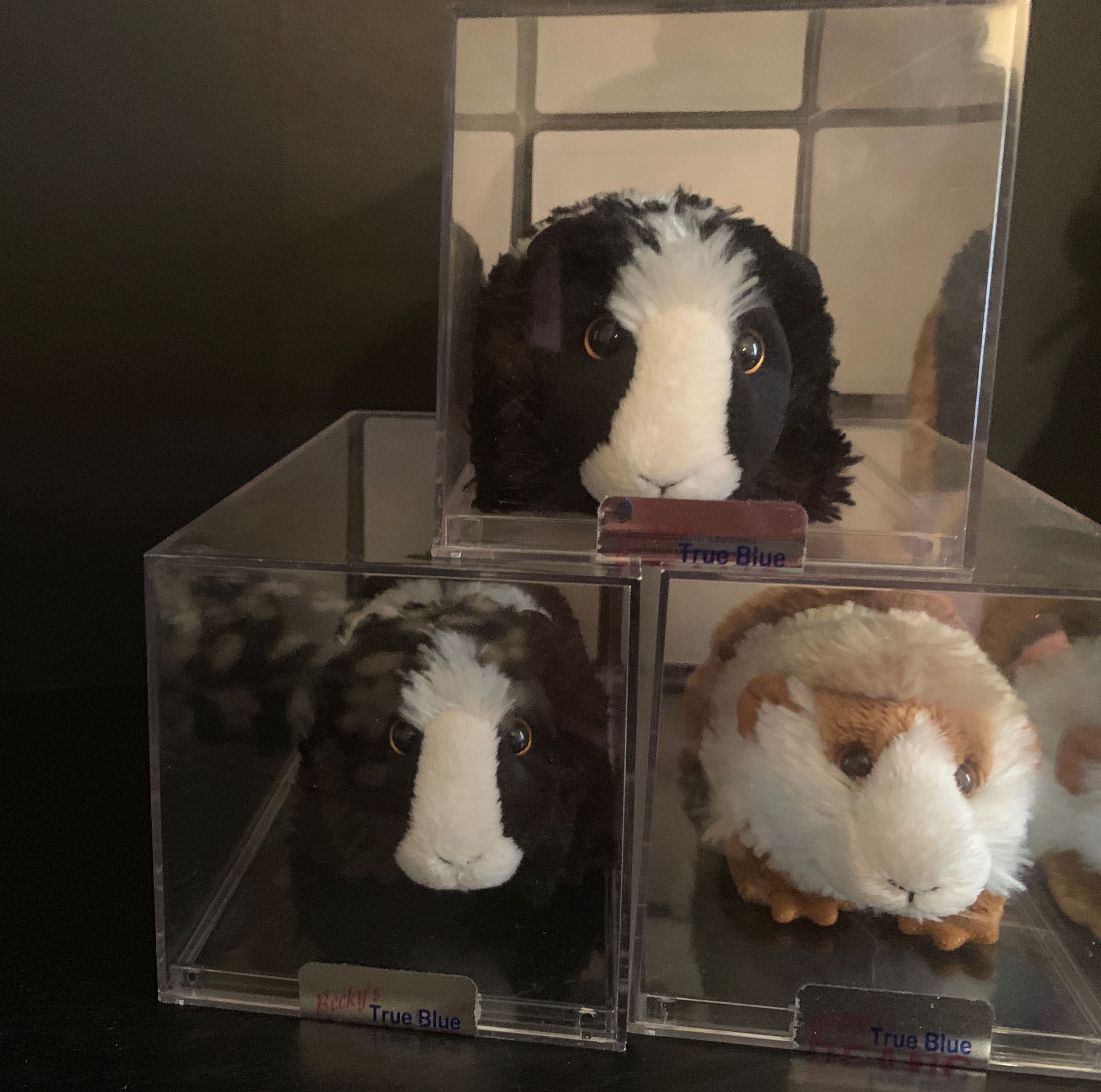 Ty Dotty (Beanie Boo Mask)