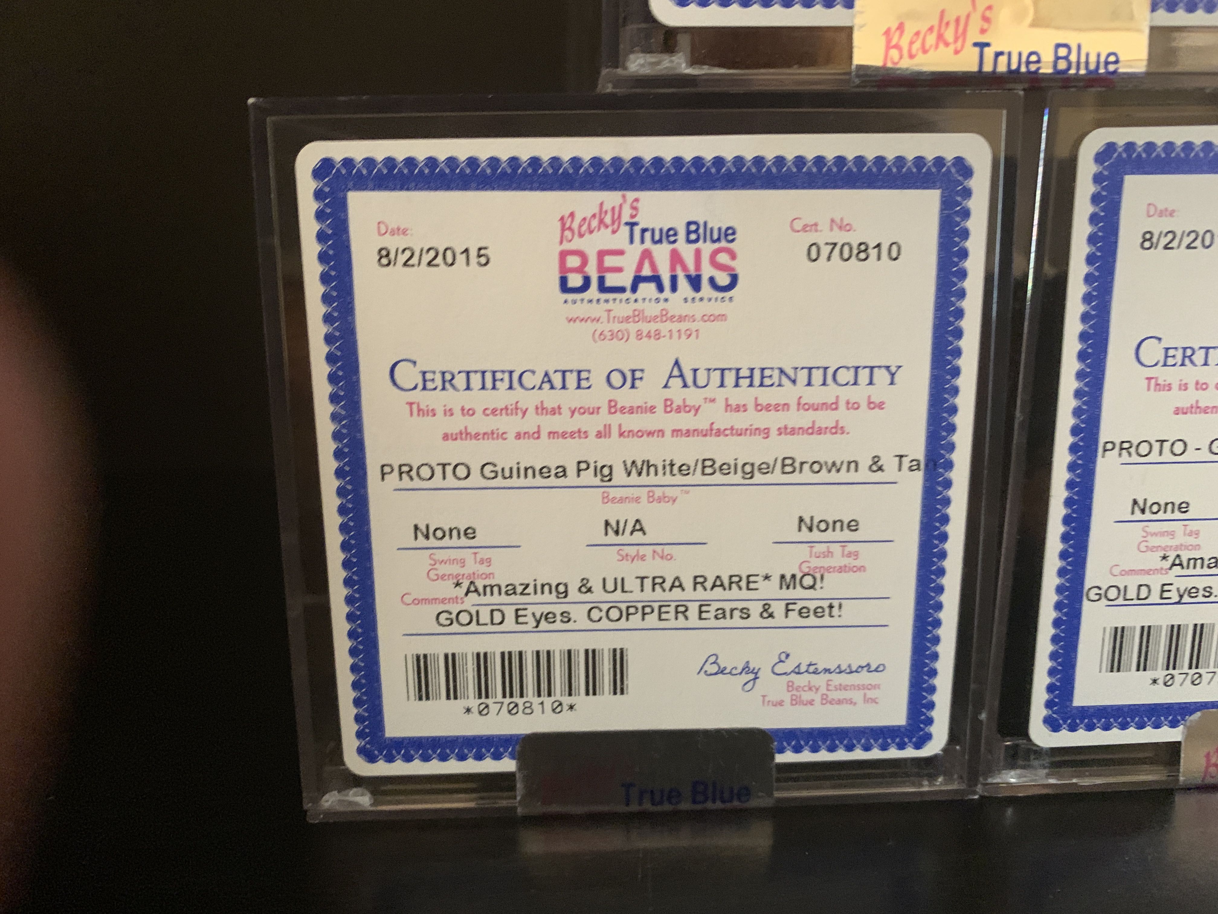 Prototype Guinea Pig White beige brown and tan  (United States) plush collectible - Main Image 3