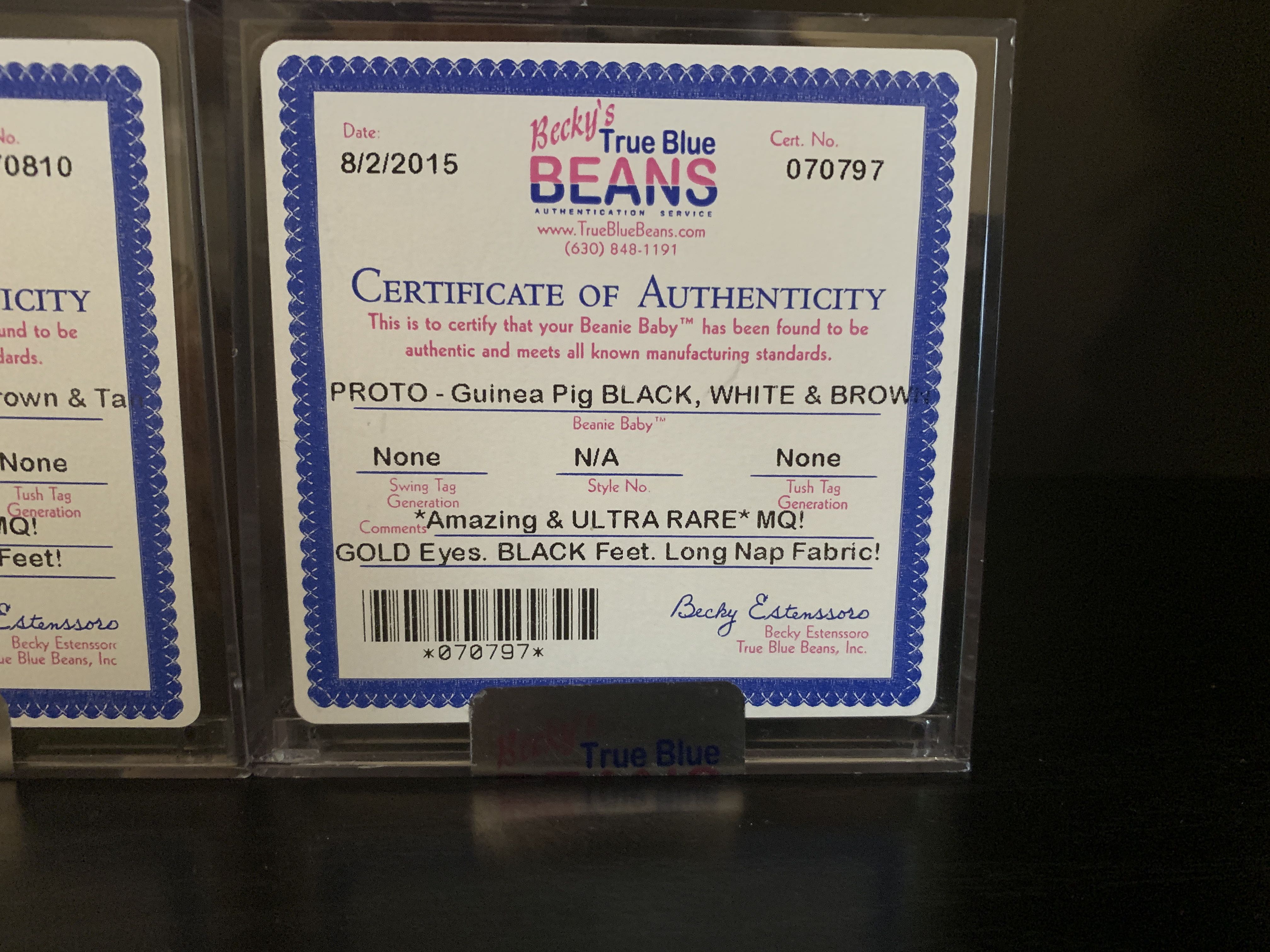 Prototype Guinea Pig White beige brown and tan  (United States) plush collectible - Main Image 4