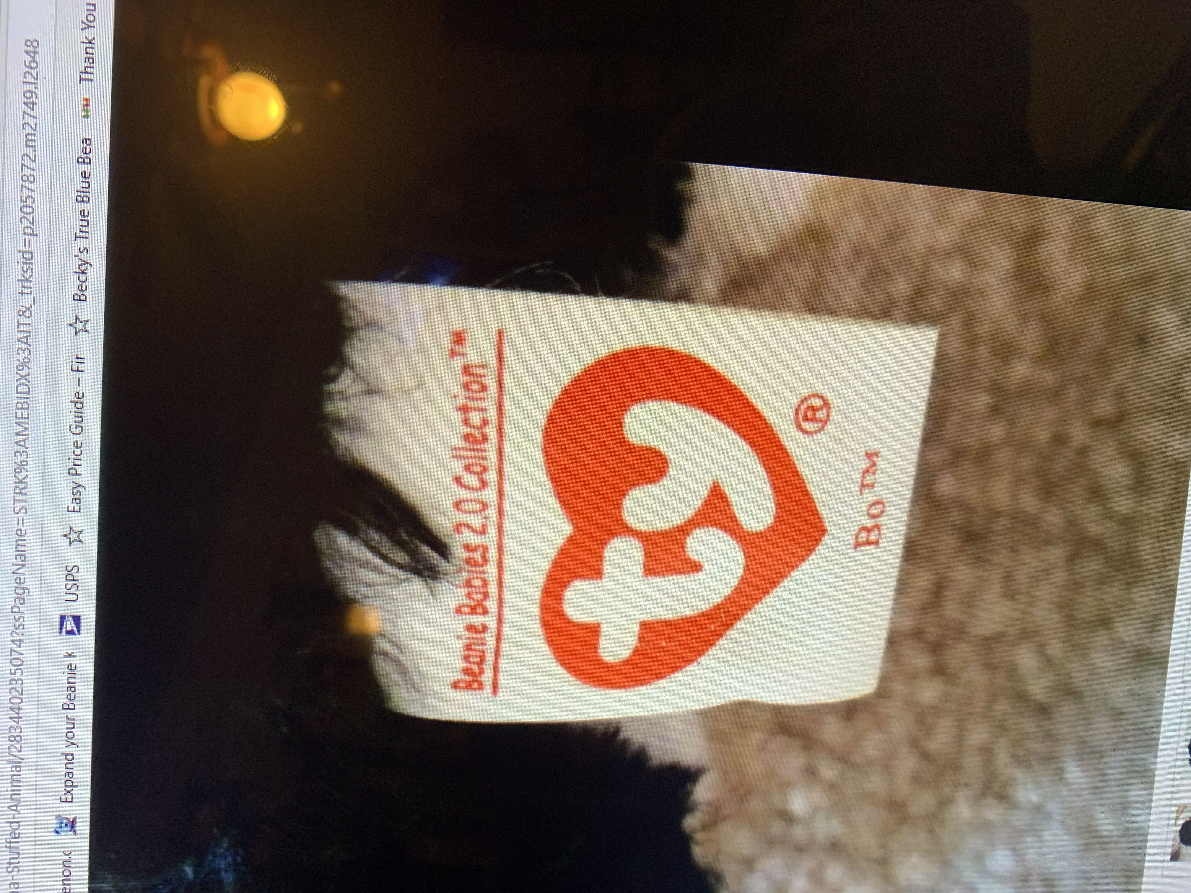 Bo Beanie 2.0  plush collectible - Main Image 2