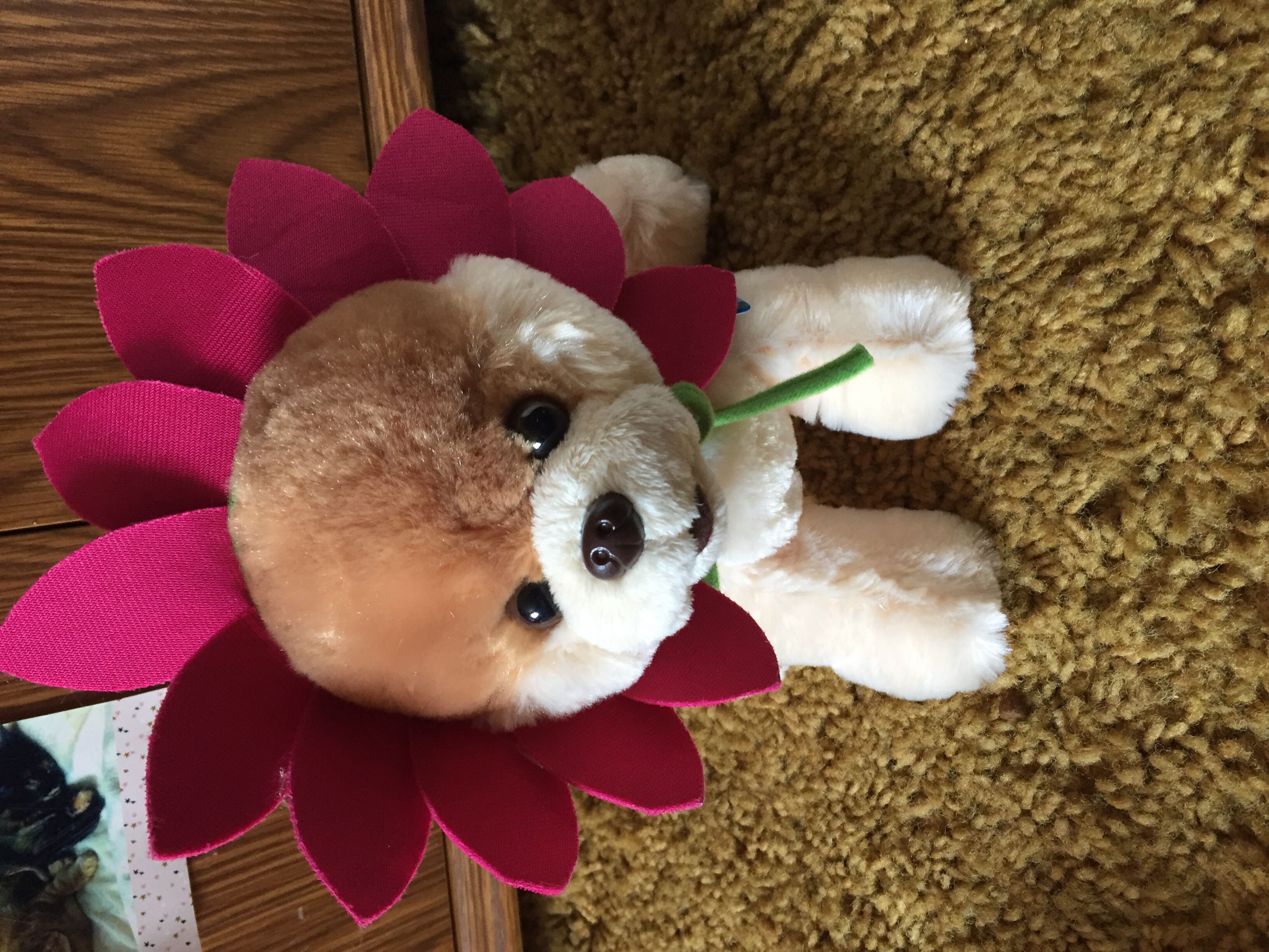 Ty Hello Kitty (Santa’s helper)