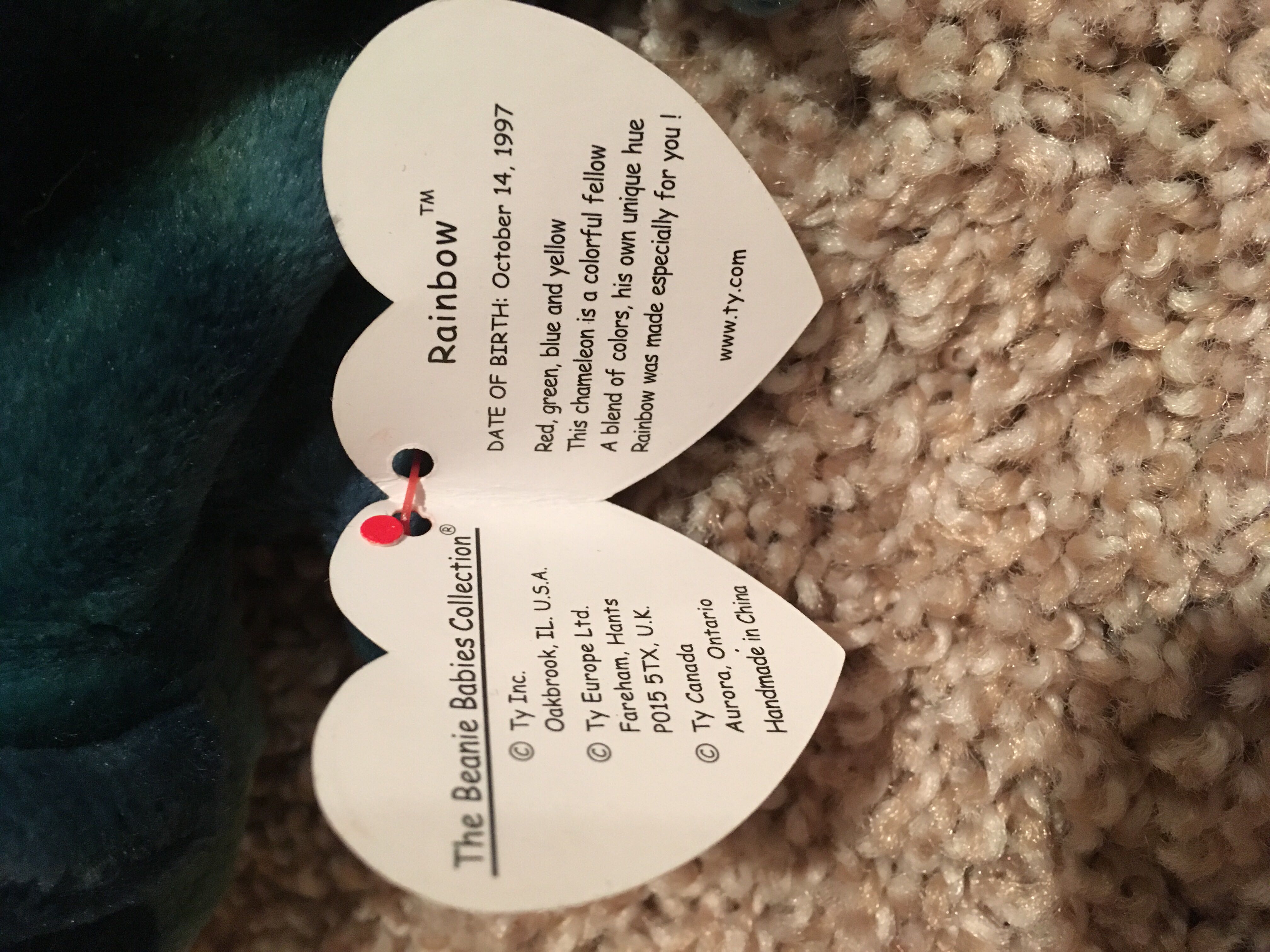 Rainbow the Chameleon (Blue)  (United States) plush collectible [Barcode 008421040377] - Main Image 3