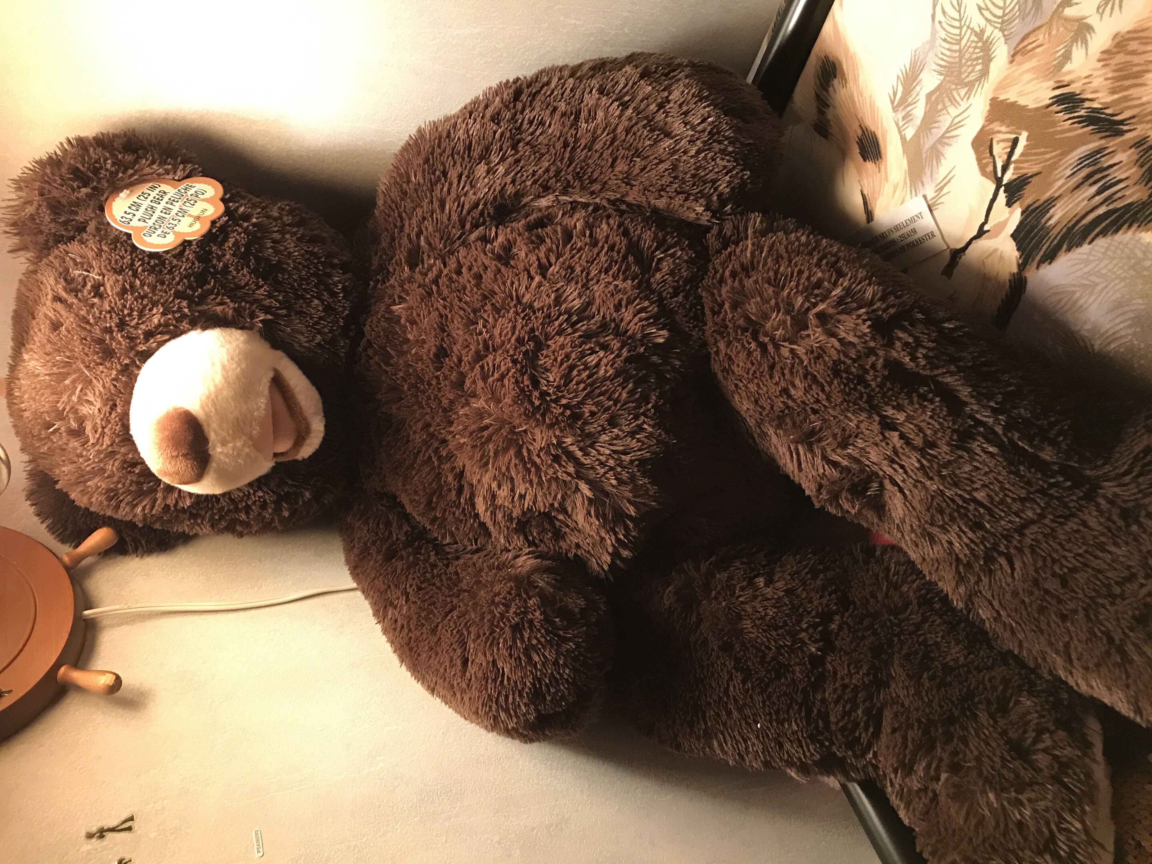 Fluttershy 4th Dimension