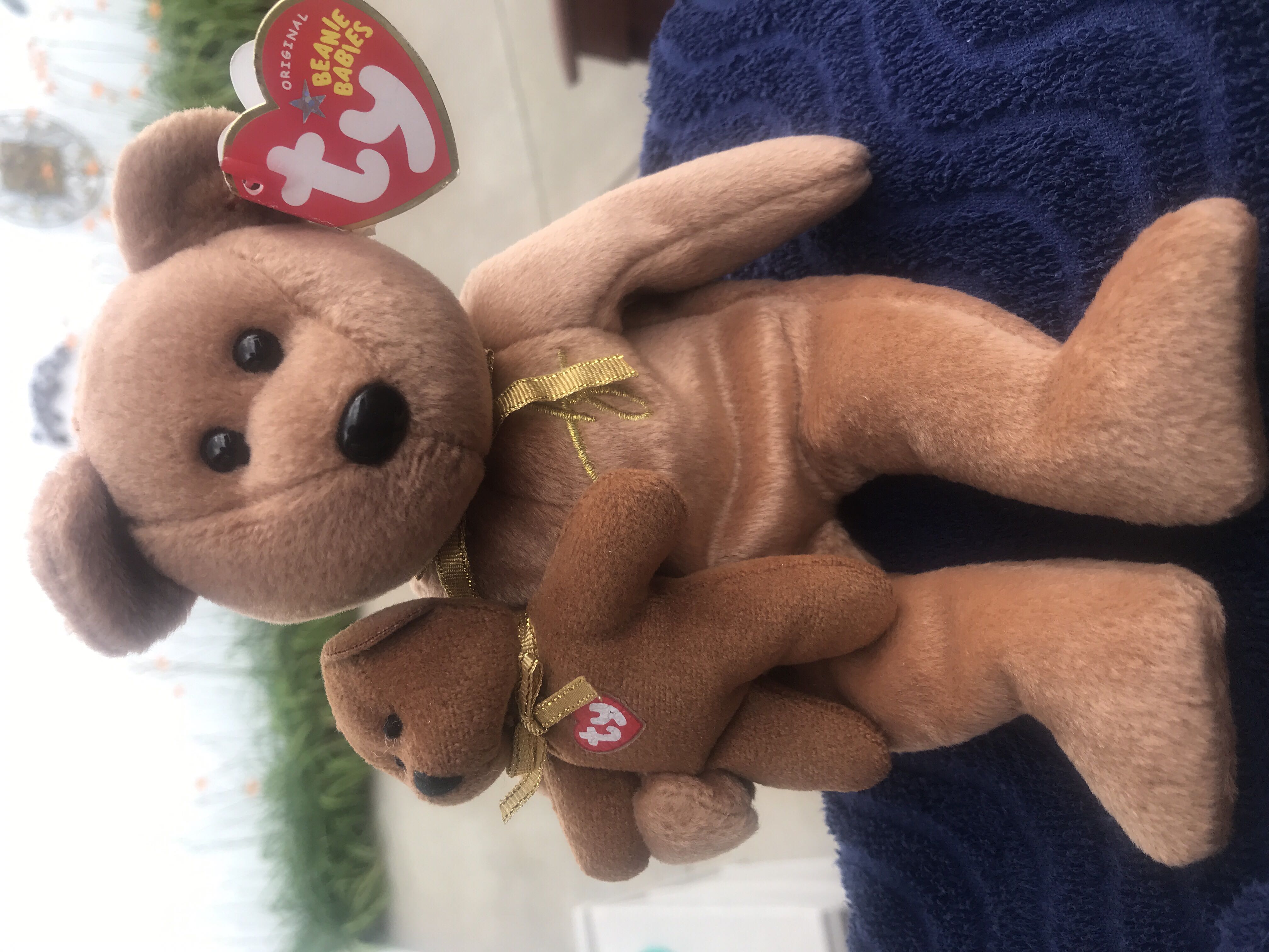 Valentino 4th Generation Authenticated 