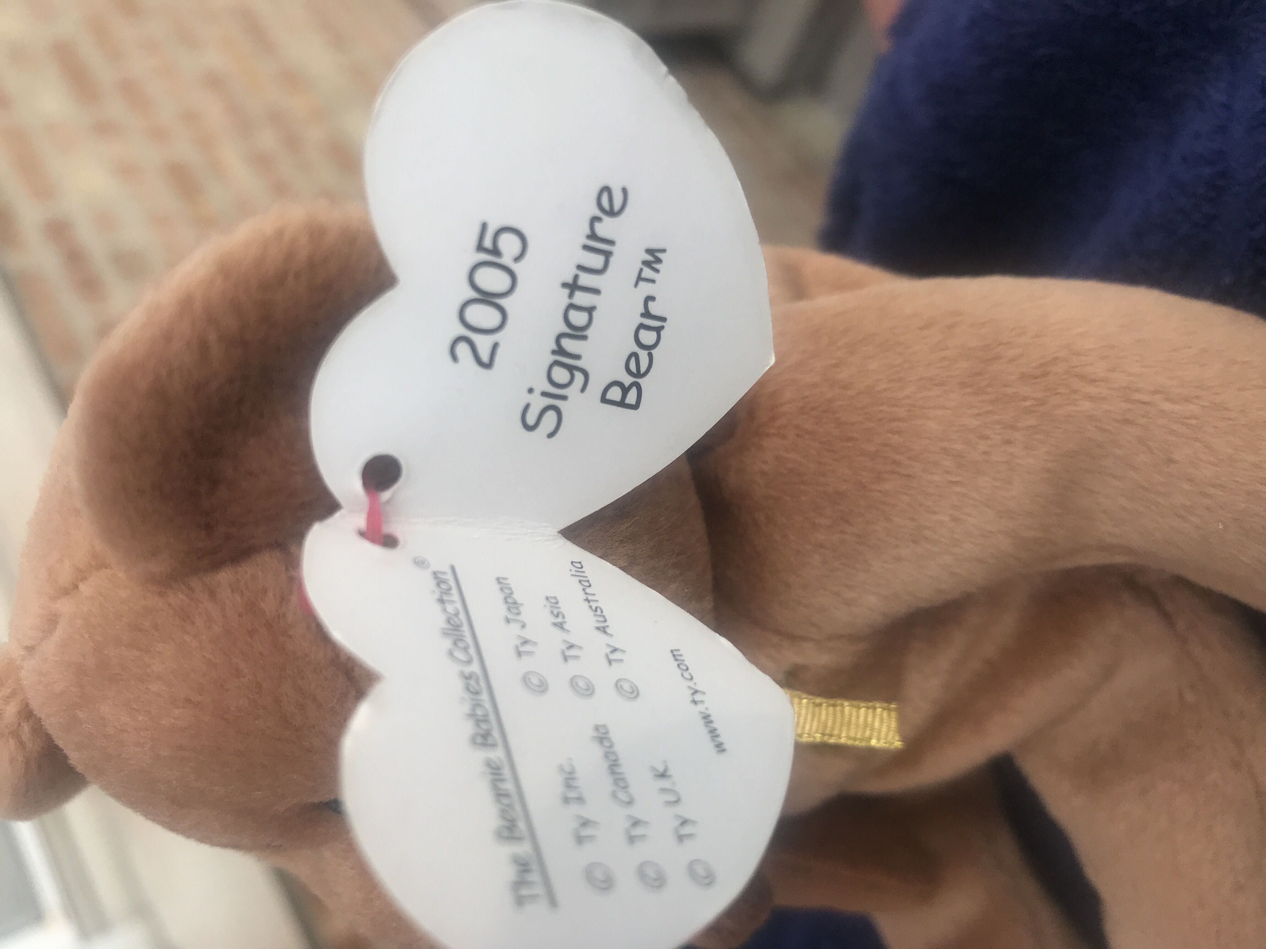 2005 Sigature Bear  plush collectible - Main Image 2