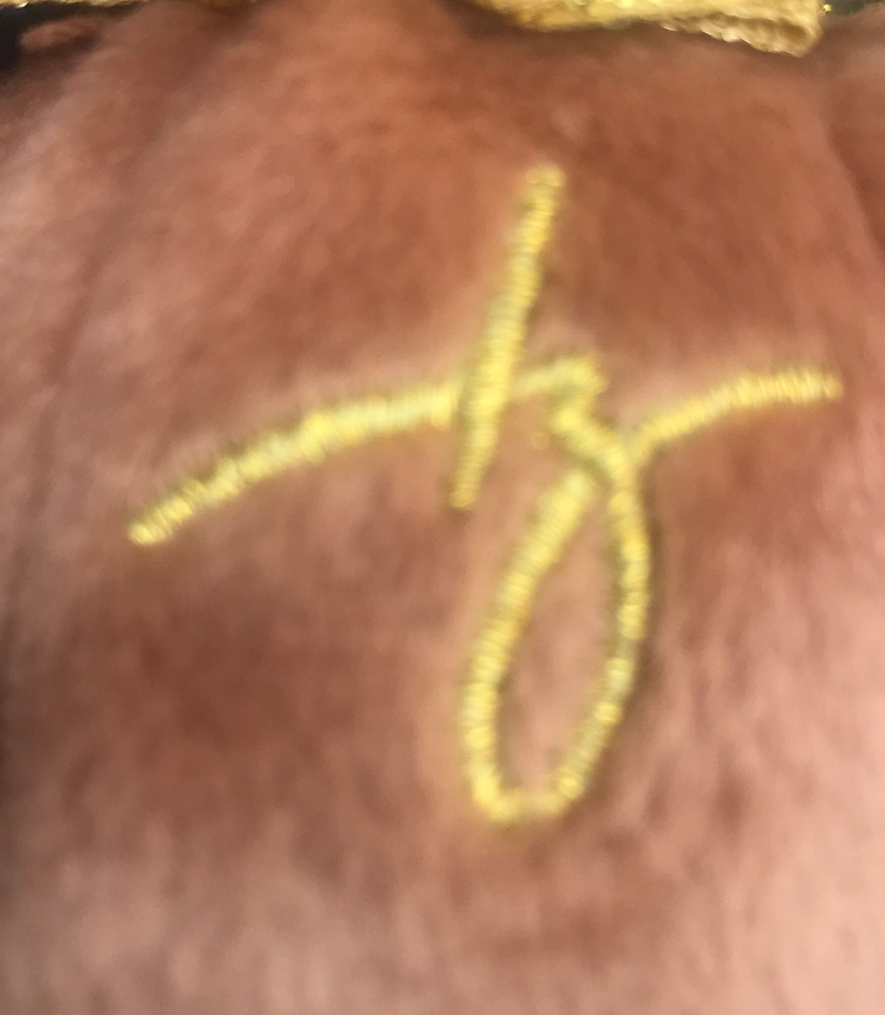 2005 Sigature Bear  plush collectible - Main Image 3