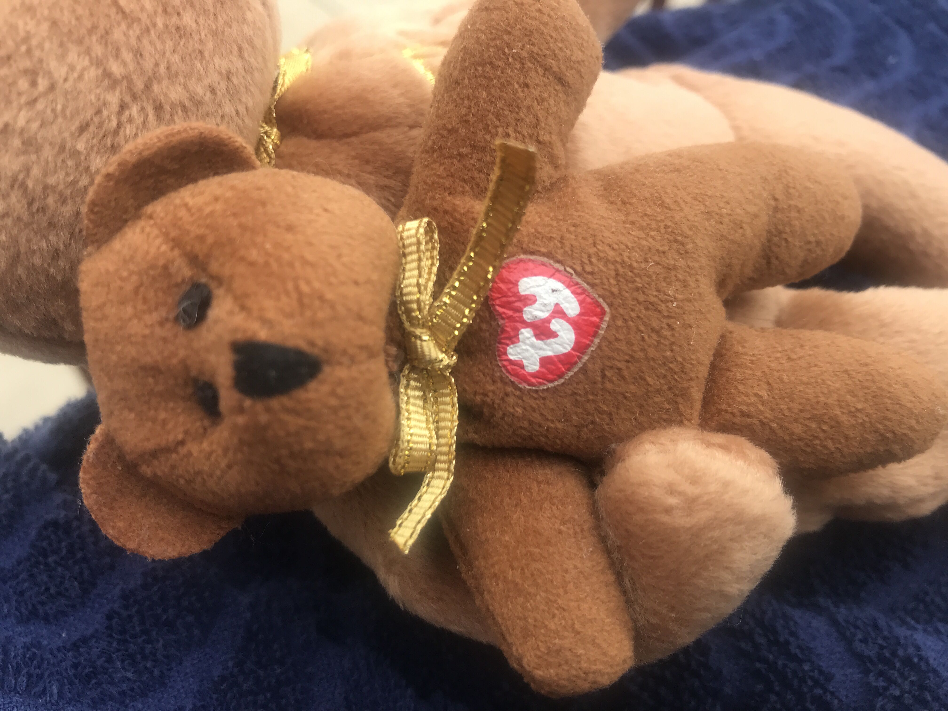 2005 Sigature Bear  plush collectible - Main Image 4