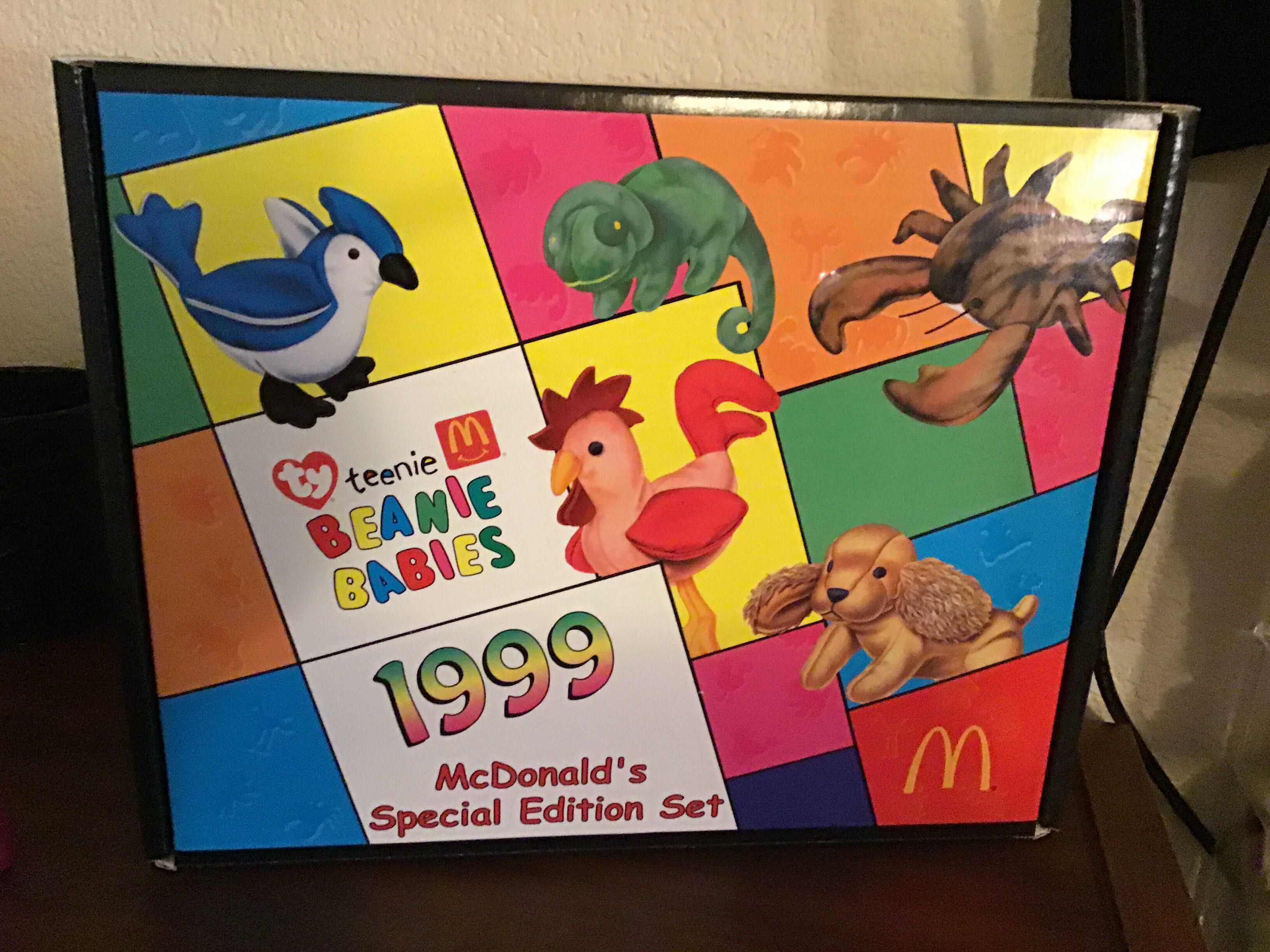 Cool Teacher the bear