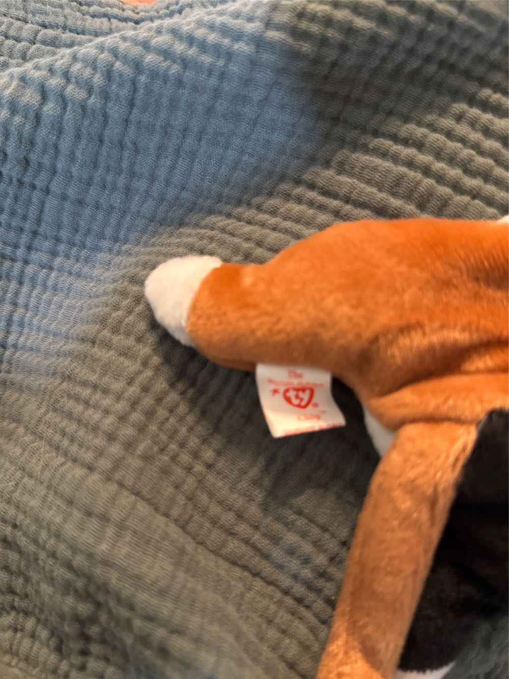 Chip The Cat  plush collectible [Barcode 008421041213] - Main Image 3