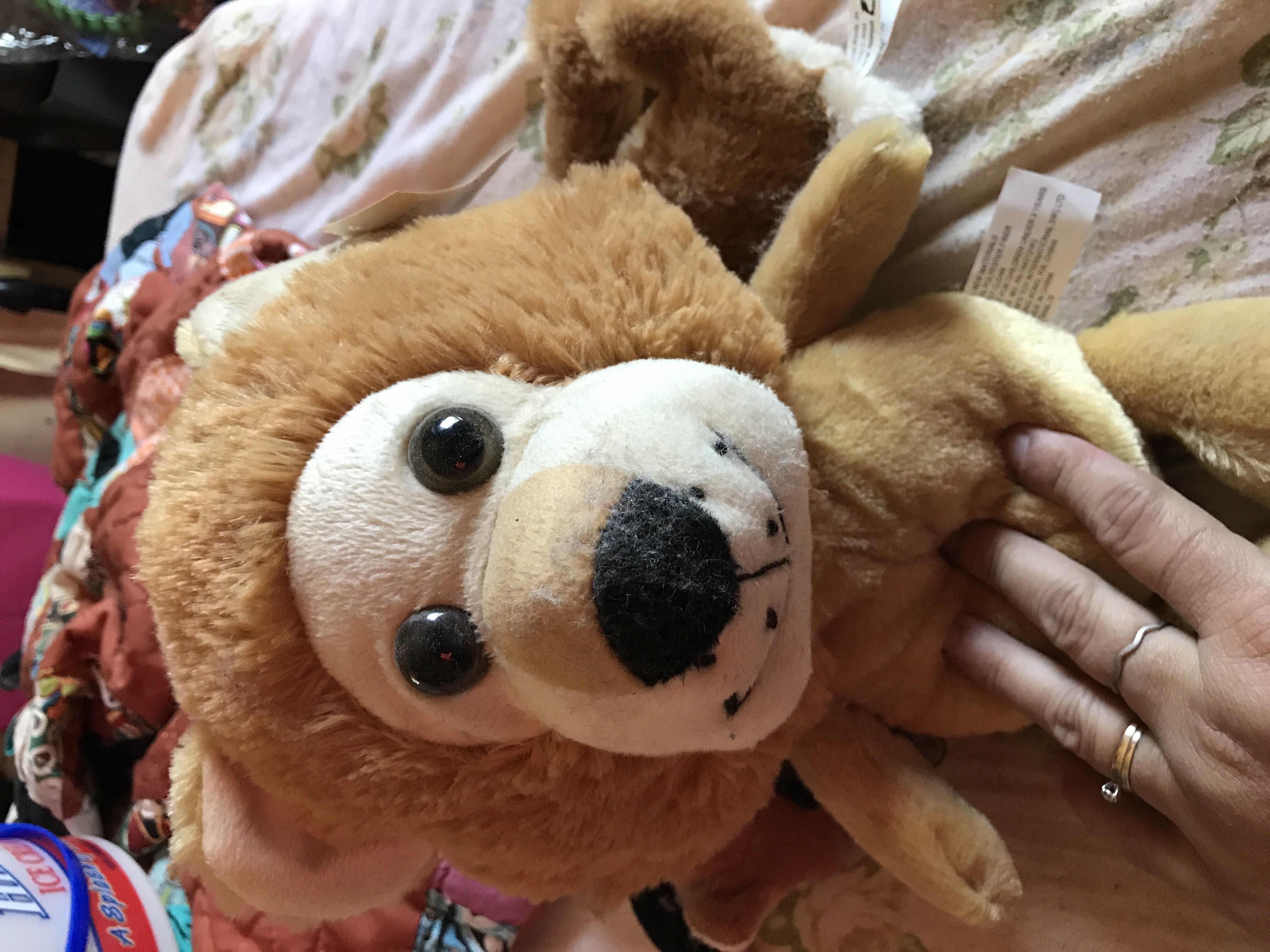 Wild Republic Kookaburra