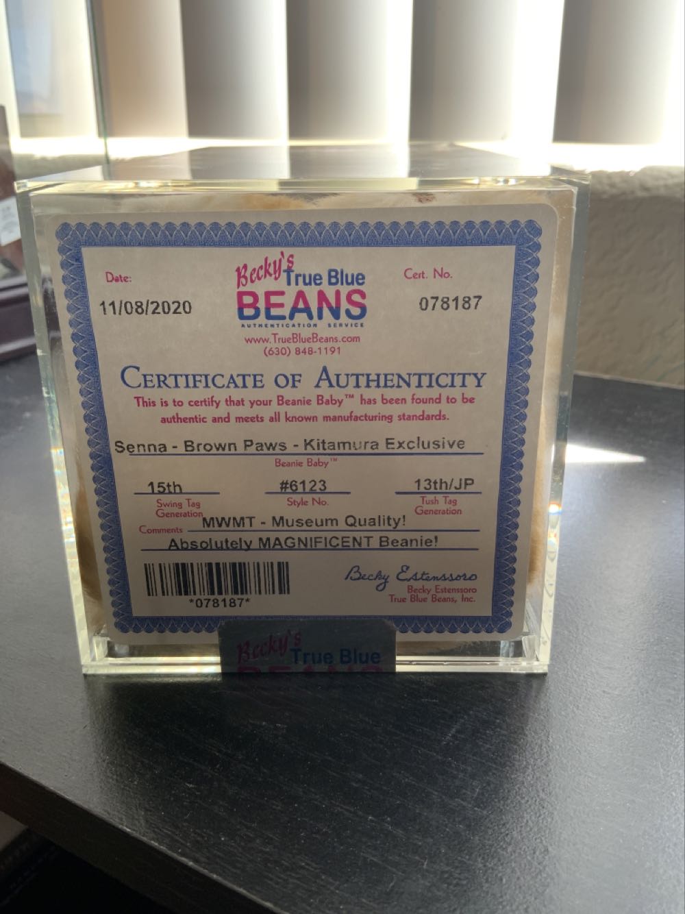 Senna Kitamura Exclusivitie  (United States) plush collectible [Barcode 008421460465] - Main Image 2