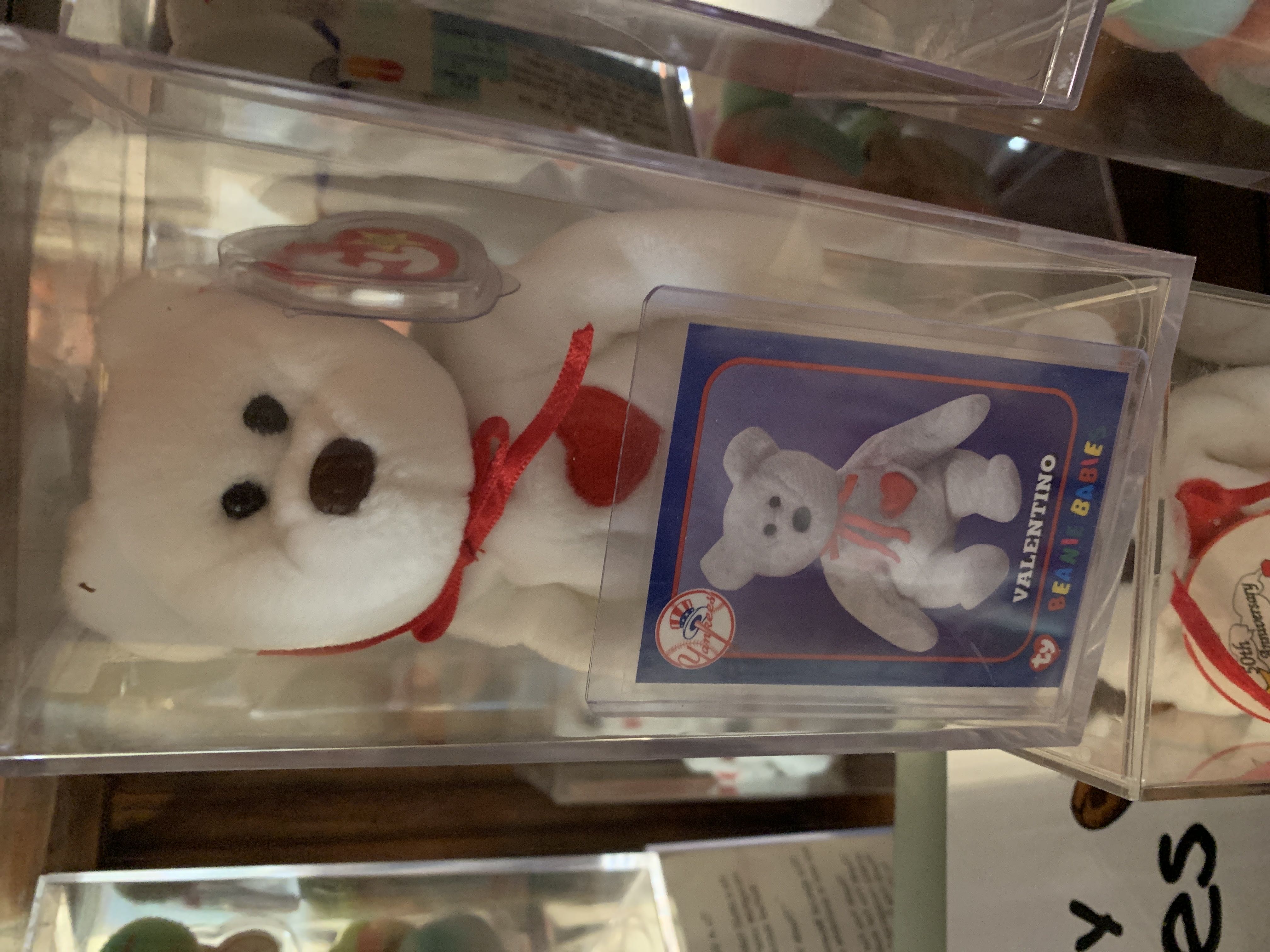 Mardi The Rainbow Bear