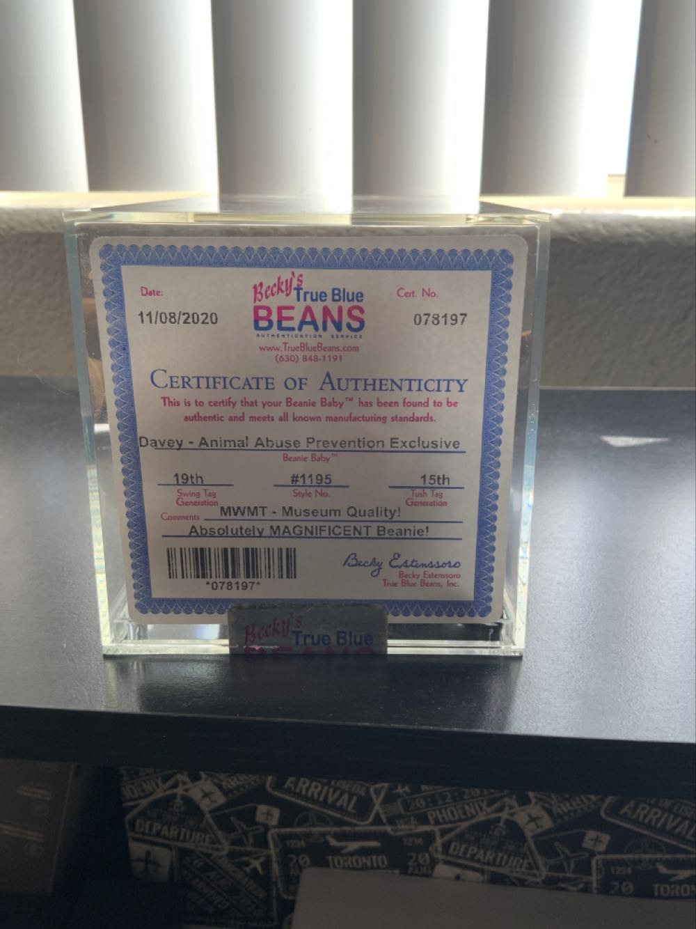 Davey Animal abuse prevention exclusive  (United States) plush collectible - Main Image 3