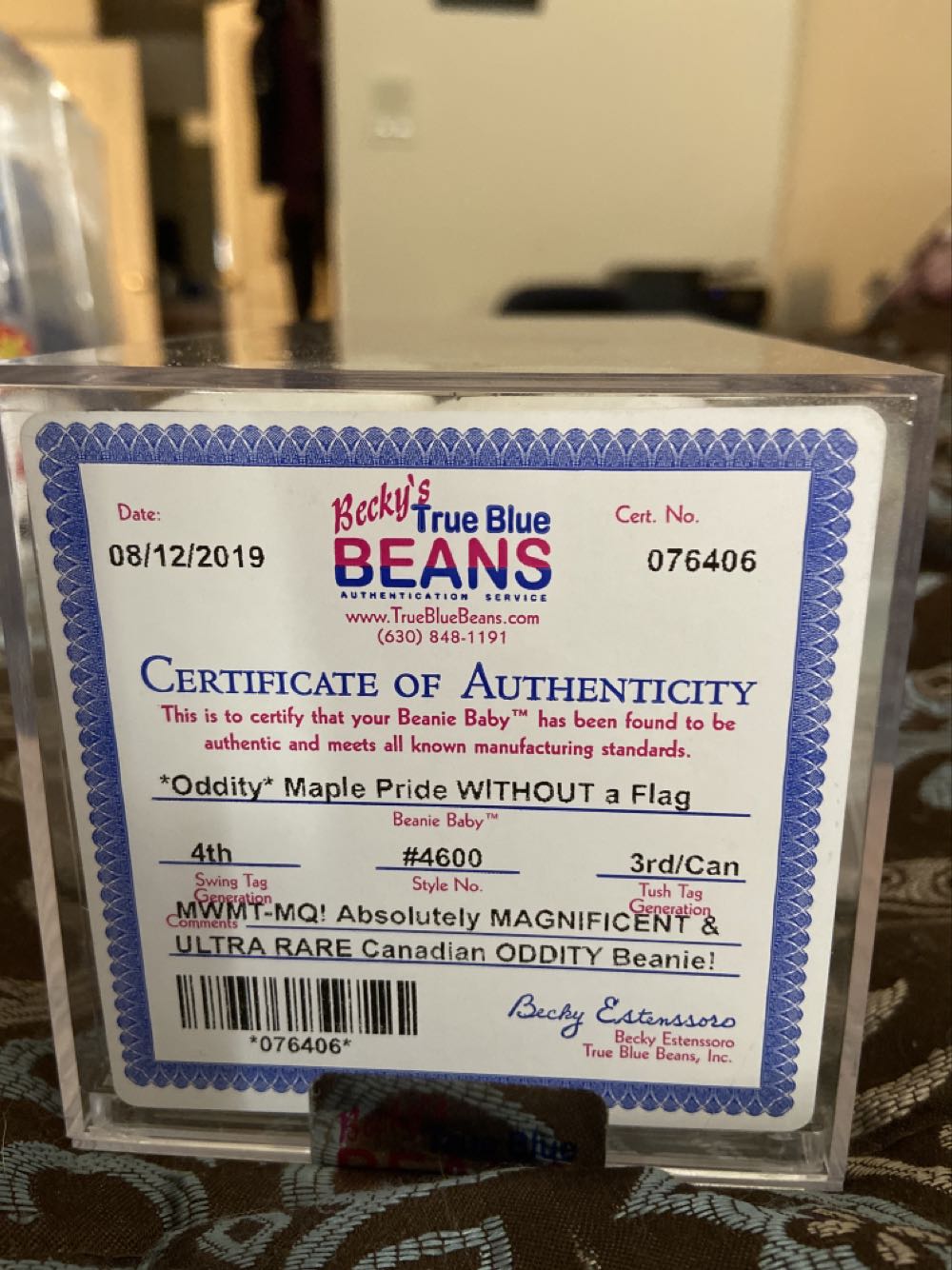 Maple / Pride Tush No Flag Symbol  (United States) plush collectible - Main Image 2