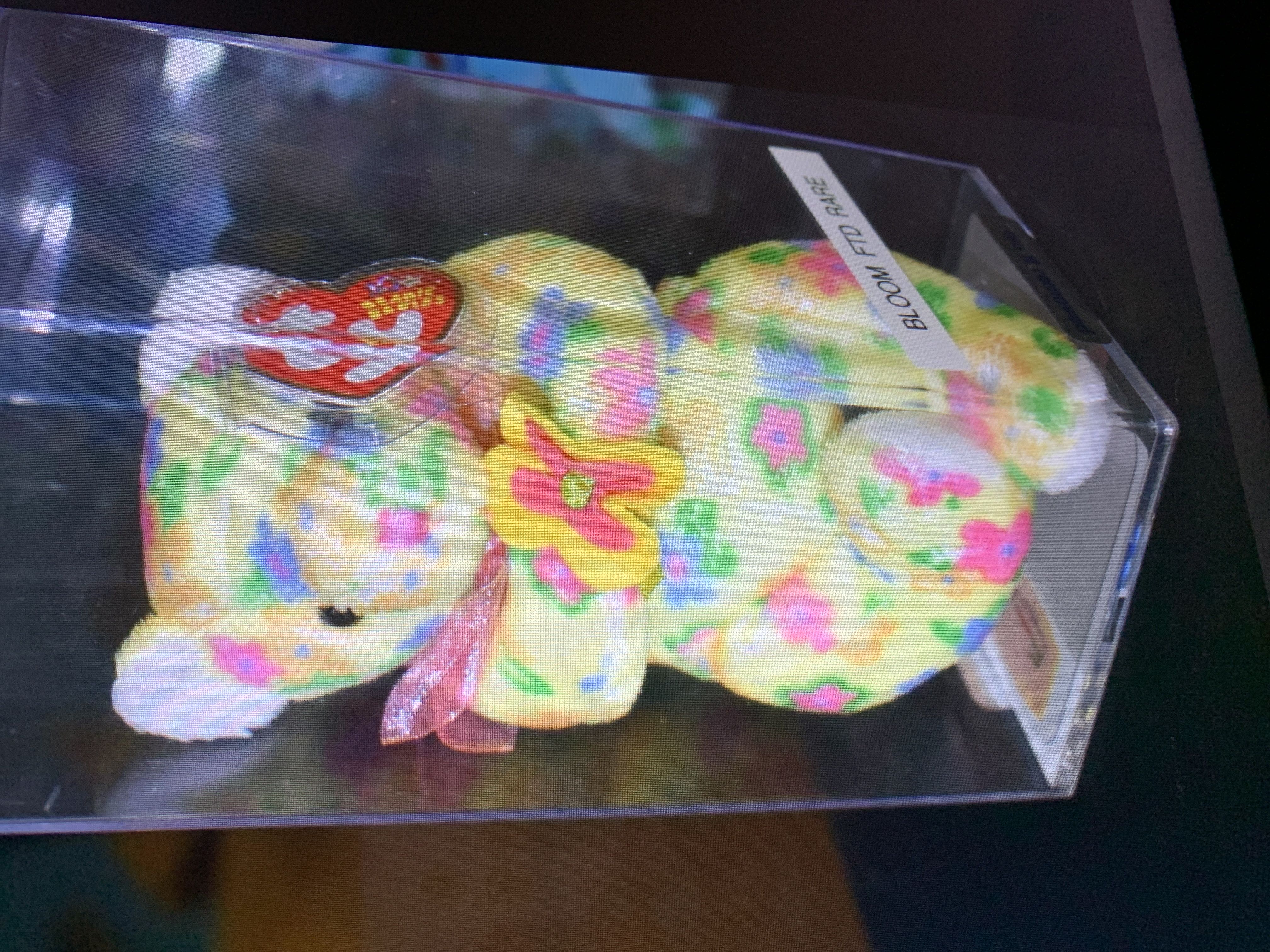 Derby the horse (V4)