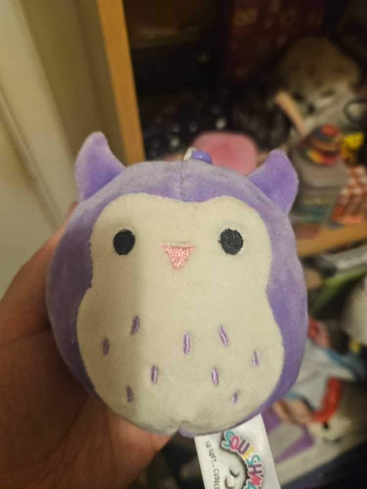 Squishmallows: Jim  plush collectible [Barcode 734689915354] - Main Image 3