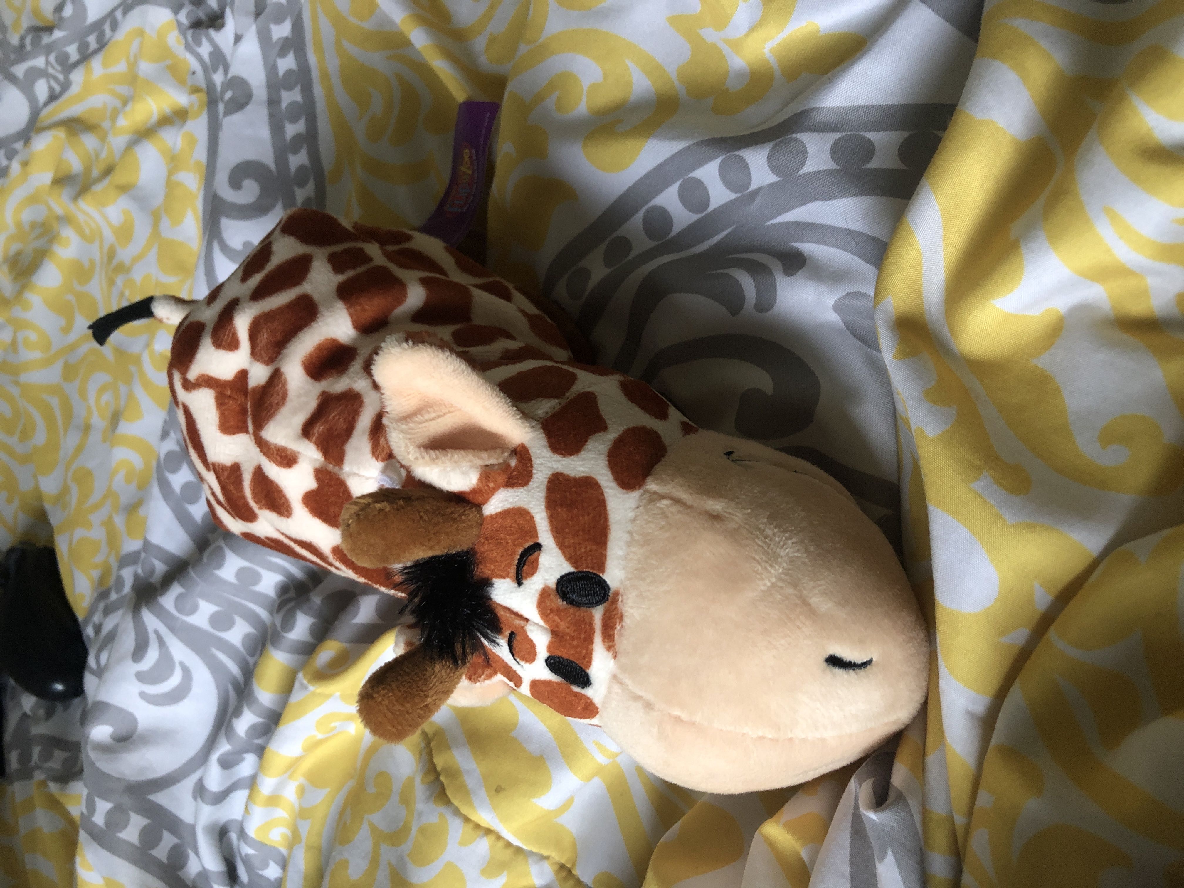 Buttercream The Bunny - BBOM