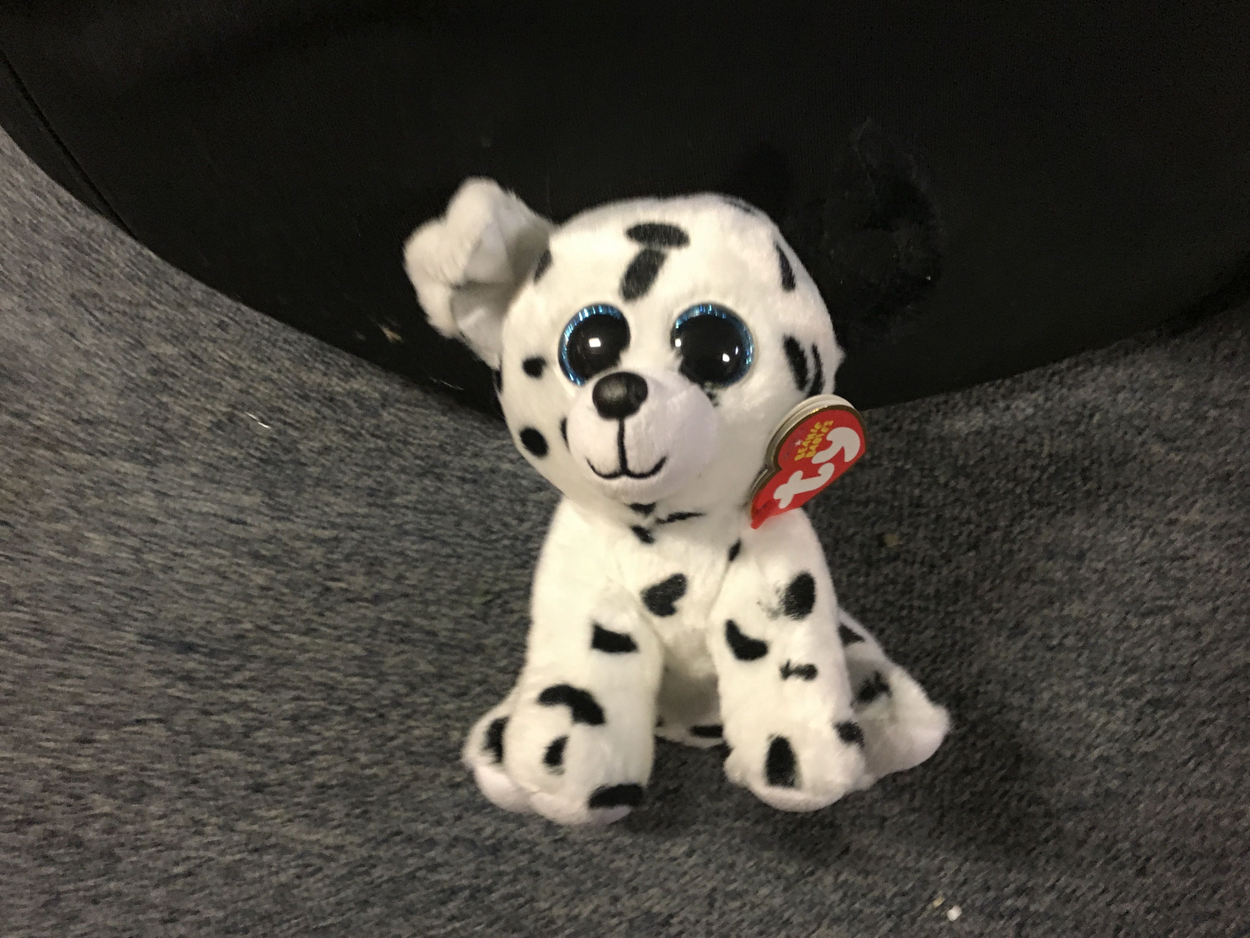 Blackie The Black Bear (Melbourne Card Expo) 2