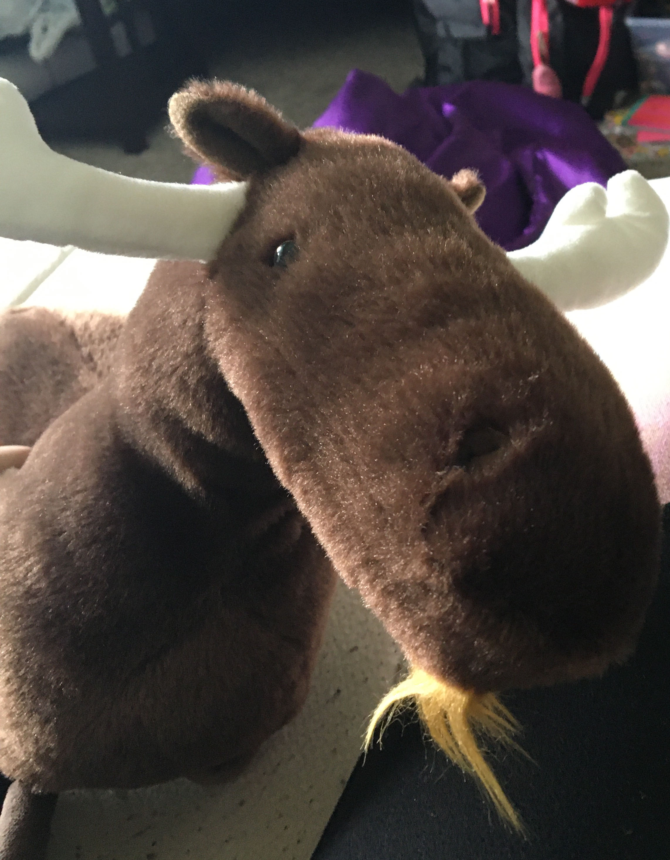 Kohls Moose  plush collectible - Main Image 2